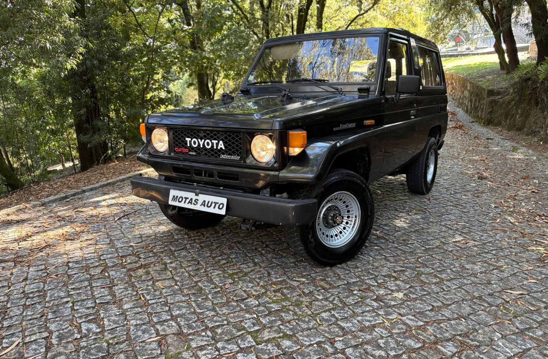 TOYOTA Land Cruiser 250 TD