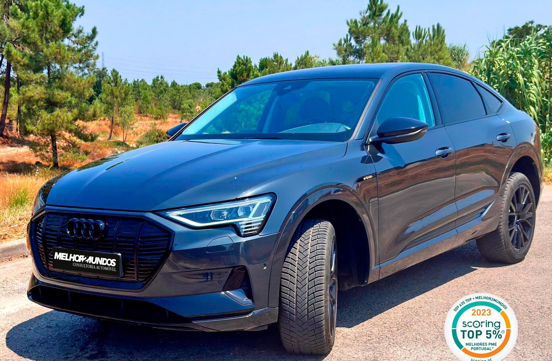 AUDI e-tron 55 quattro