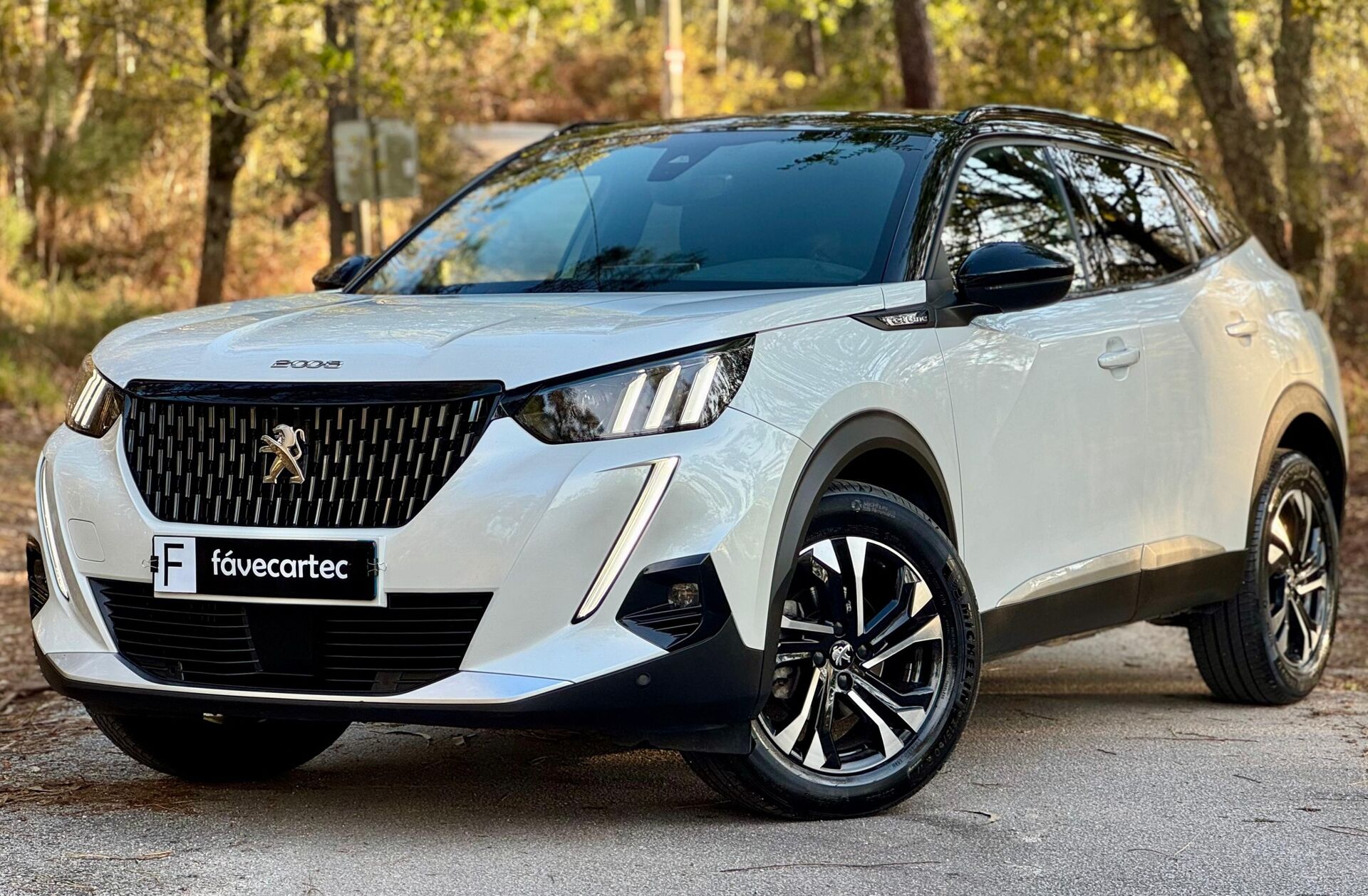 PEUGEOT 2008 1.2 PureTech GT Line