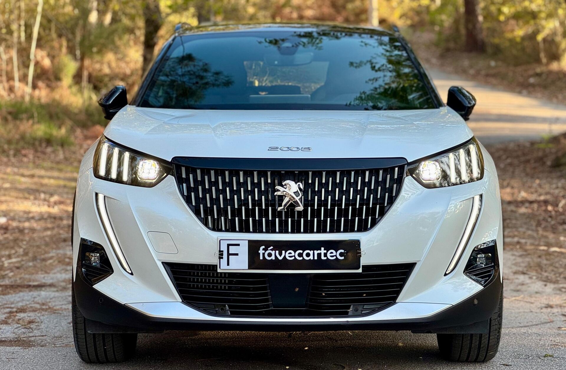 PEUGEOT 2008 1.2 PureTech GT Line