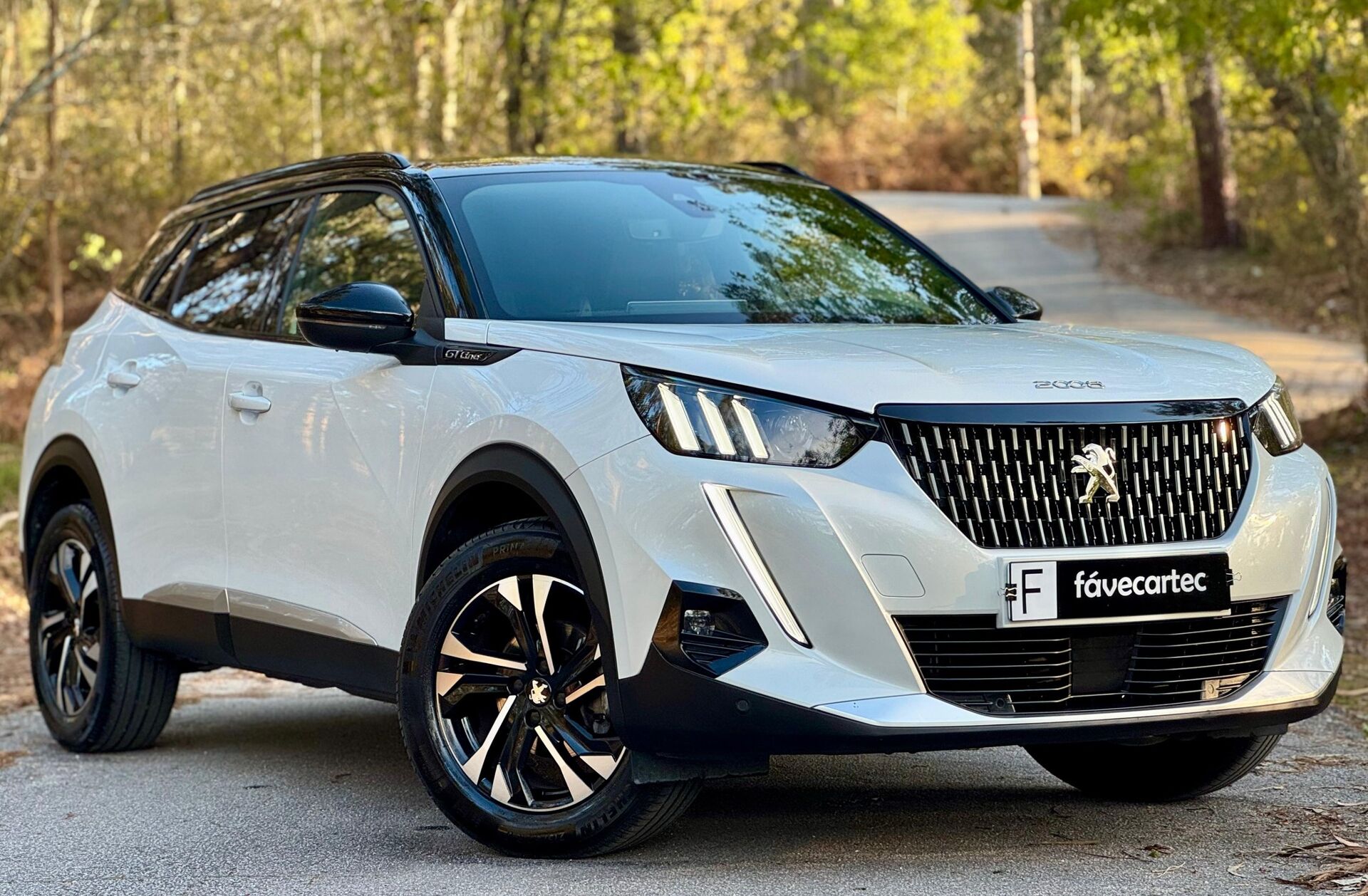 PEUGEOT 2008 1.2 PureTech GT Line