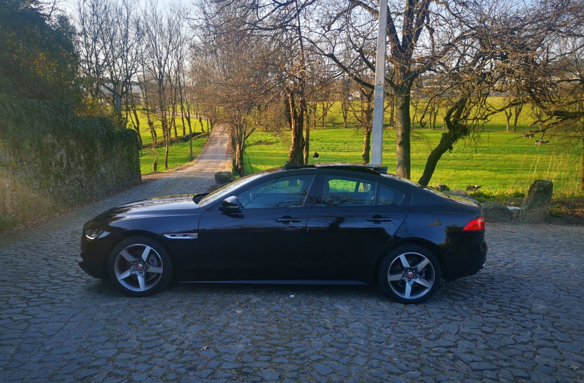 JAGUAR XE 2.0 D R-Sport Aut.
