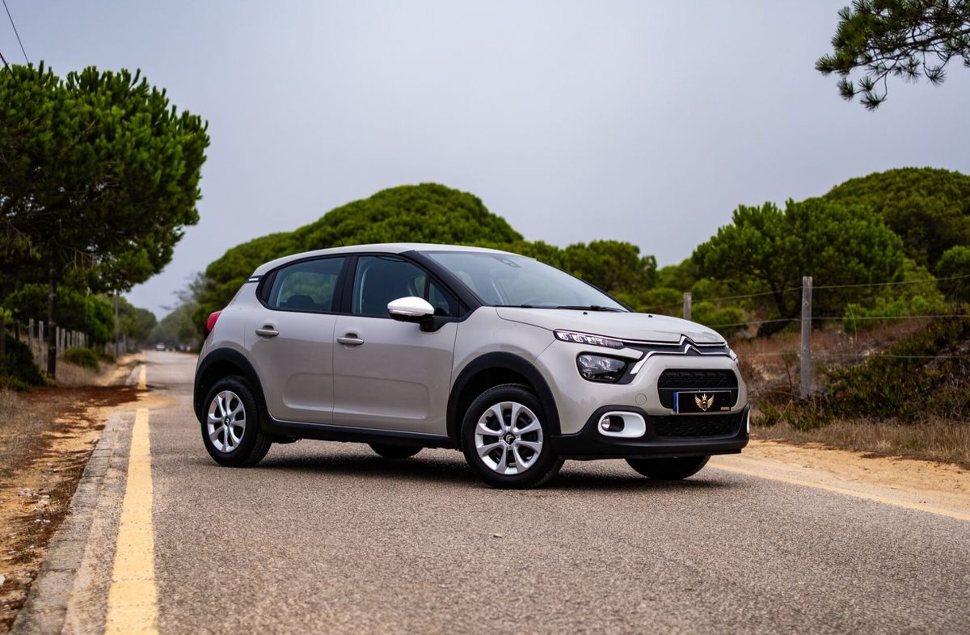 CITROEN C3 1.2 PureTech YOU!