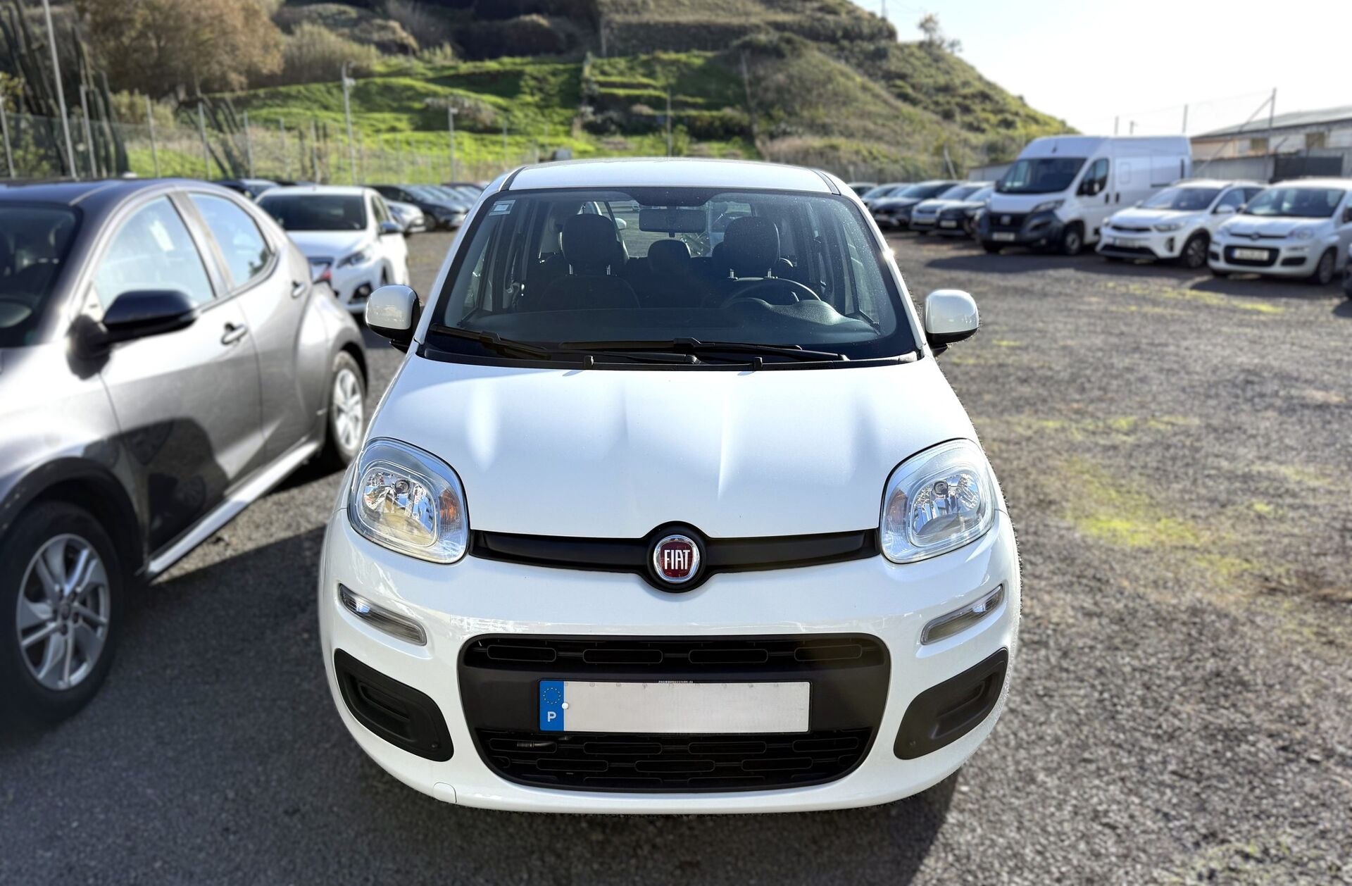 FIAT Panda 1.2 Easy S&S