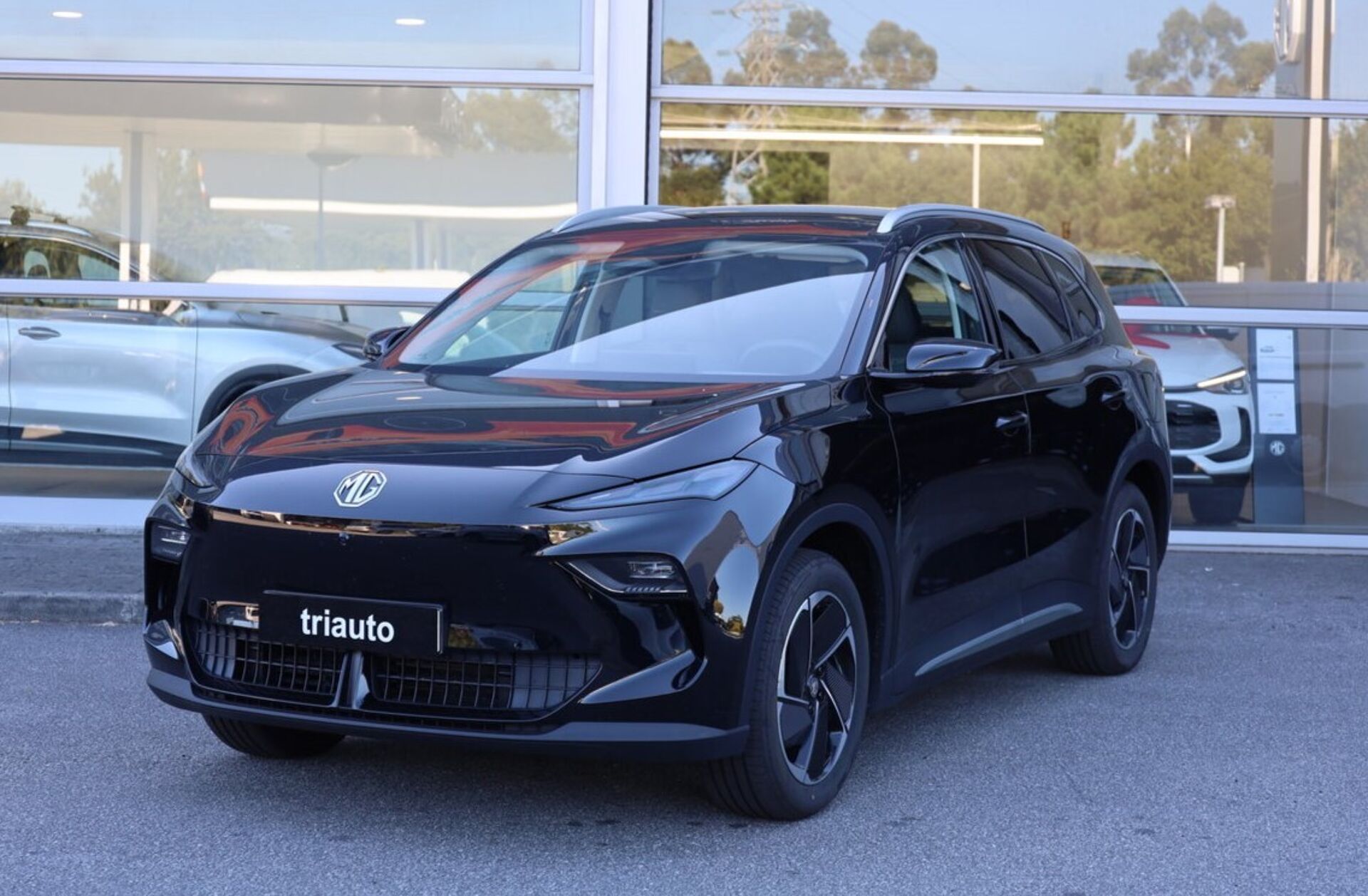 MG ZS 72.6 kWh Luxury