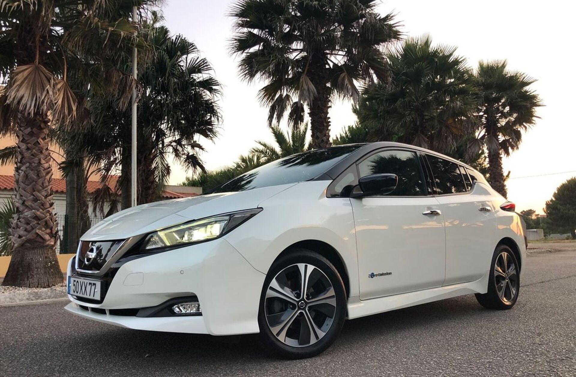 NISSAN Leaf Tekna Two Tone