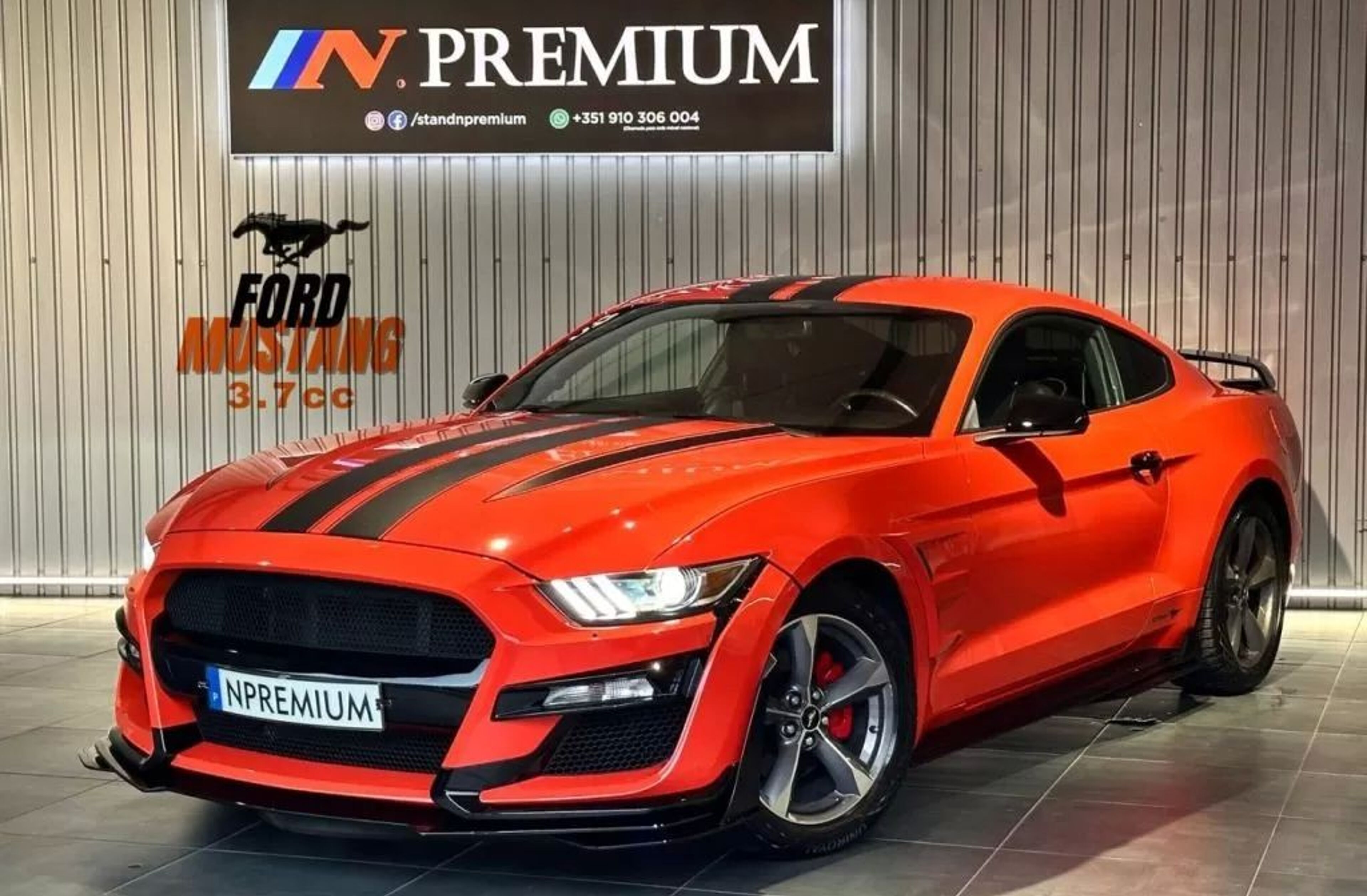 FORD Mustang 3.7 KIT GT 500 SHELBY