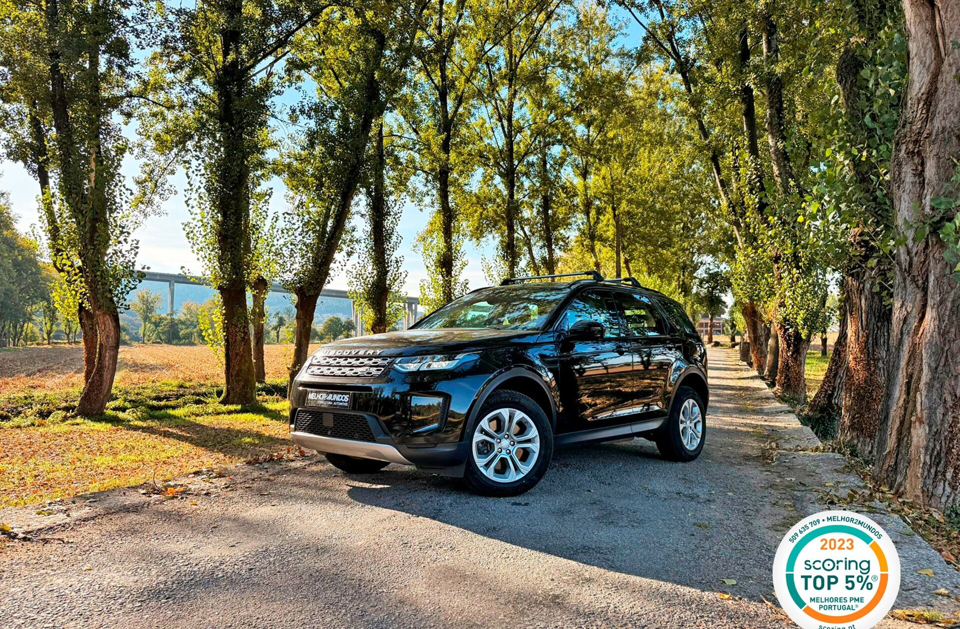 LAND ROVER Discovery S.1.5 I3 P300e AWD S