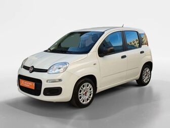 FIAT Panda 1.0 Hybrid City Life