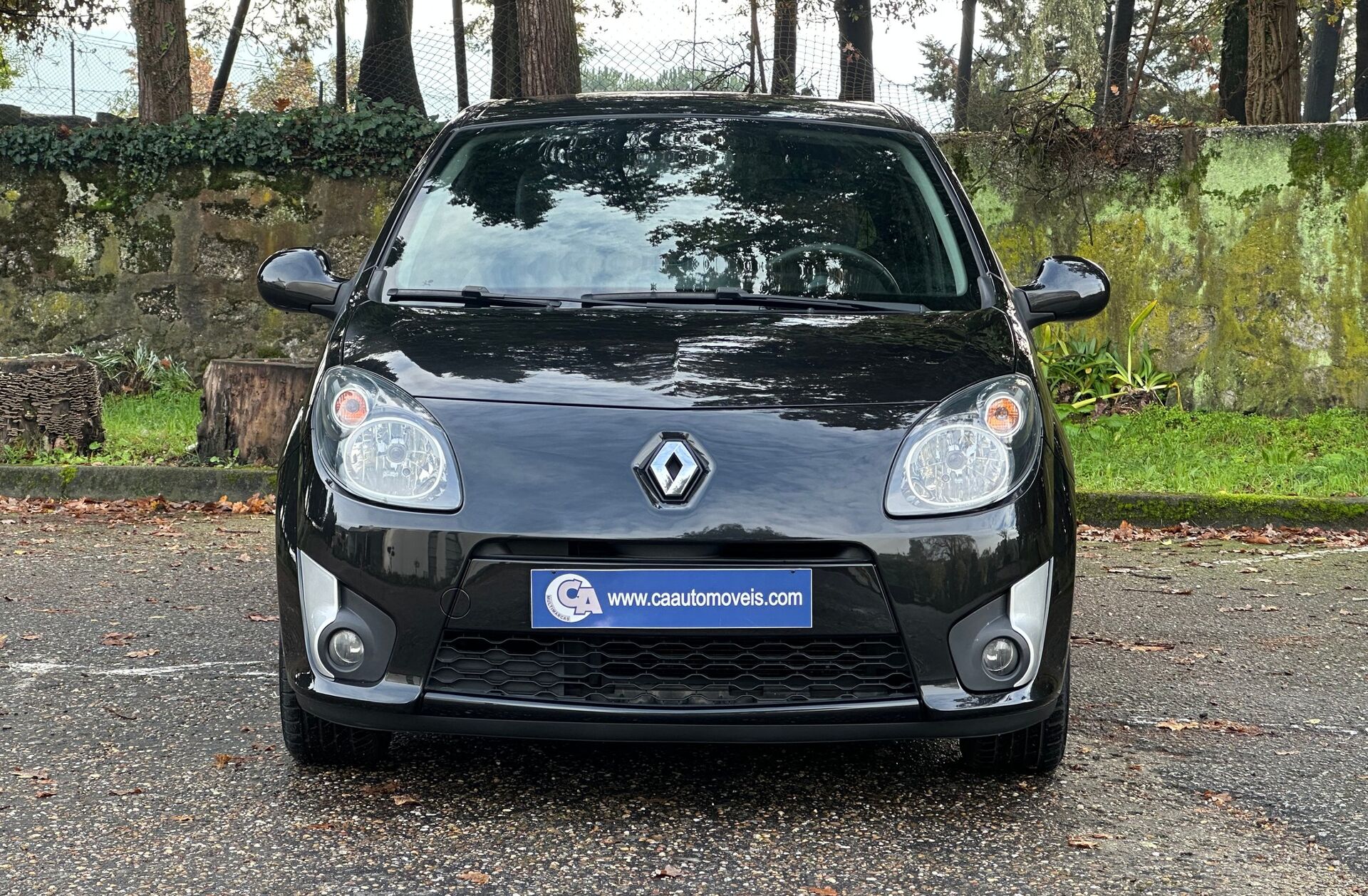 RENAULT Twingo 1.2 16V Dynamique S