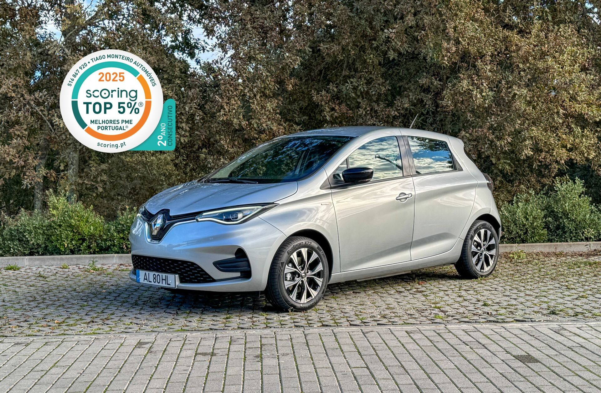 RENAULT ZOE Limited 50