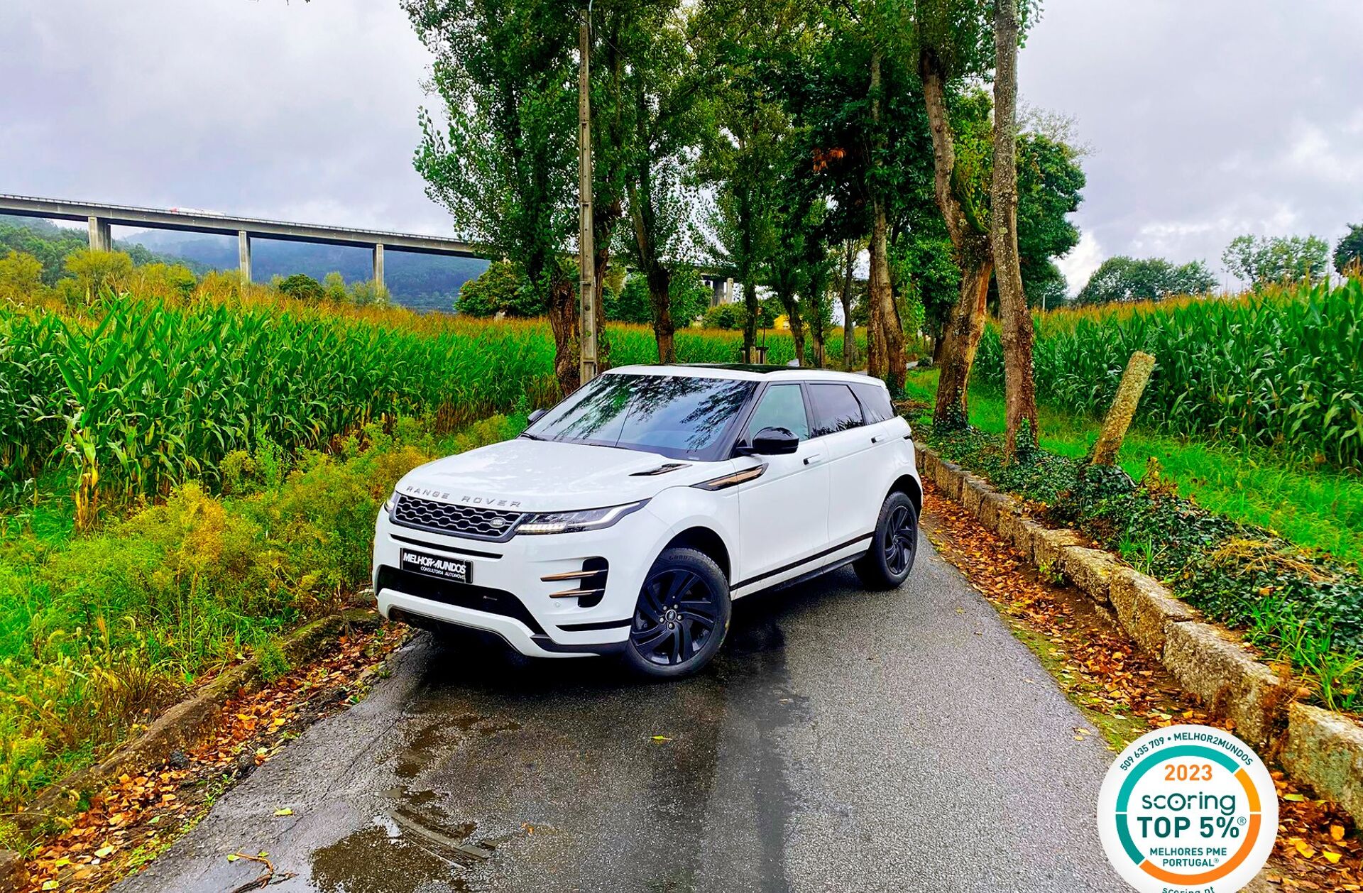 LAND ROVER Range Rover Evoque 1.5 P300e AWD R-Dynamic HSE Auto