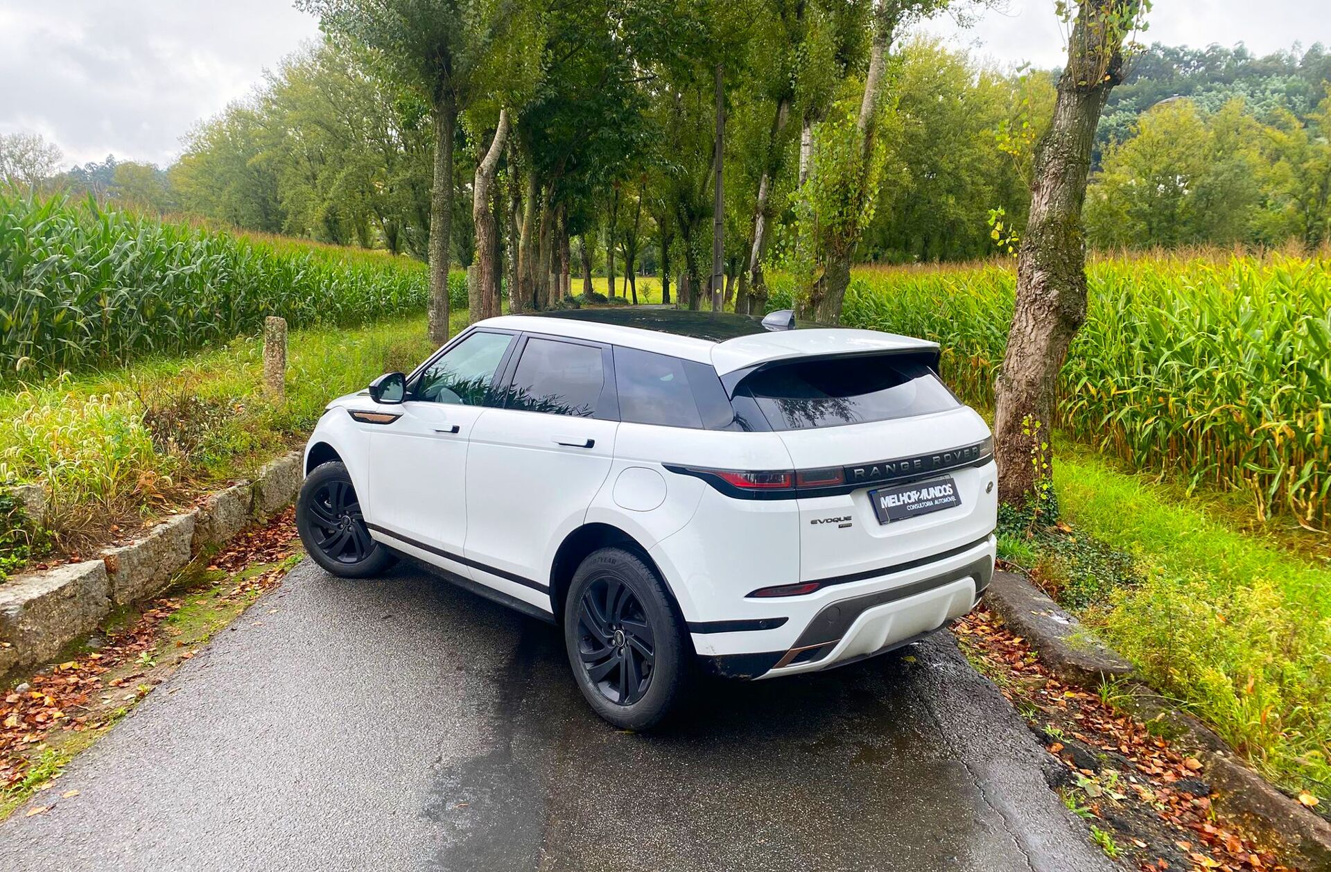 LAND ROVER Range Rover Evoque 1.5 P300e AWD R-Dynamic HSE Auto