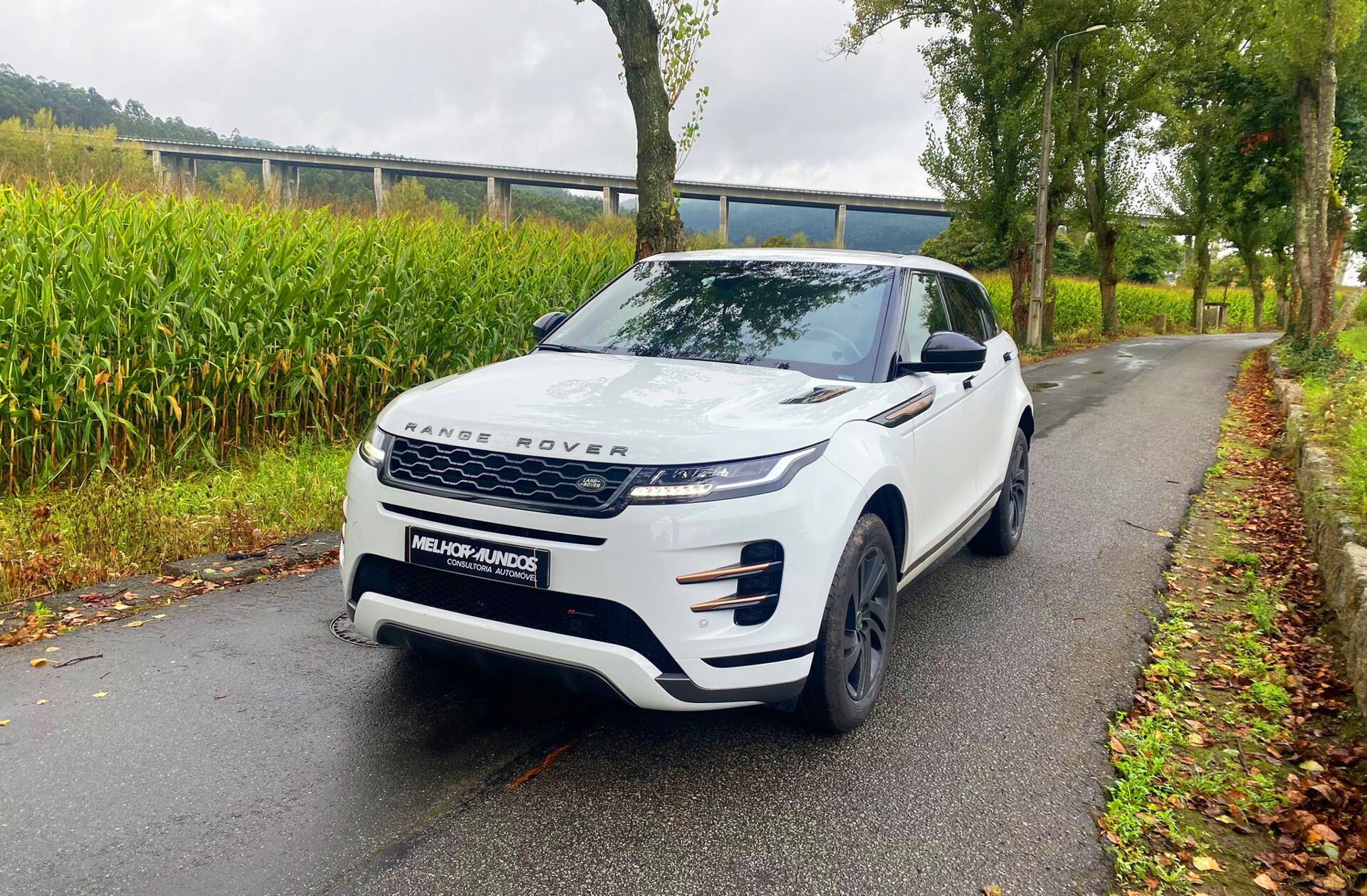 LAND ROVER Range Rover Evoque 1.5 P300e AWD R-Dynamic HSE Auto