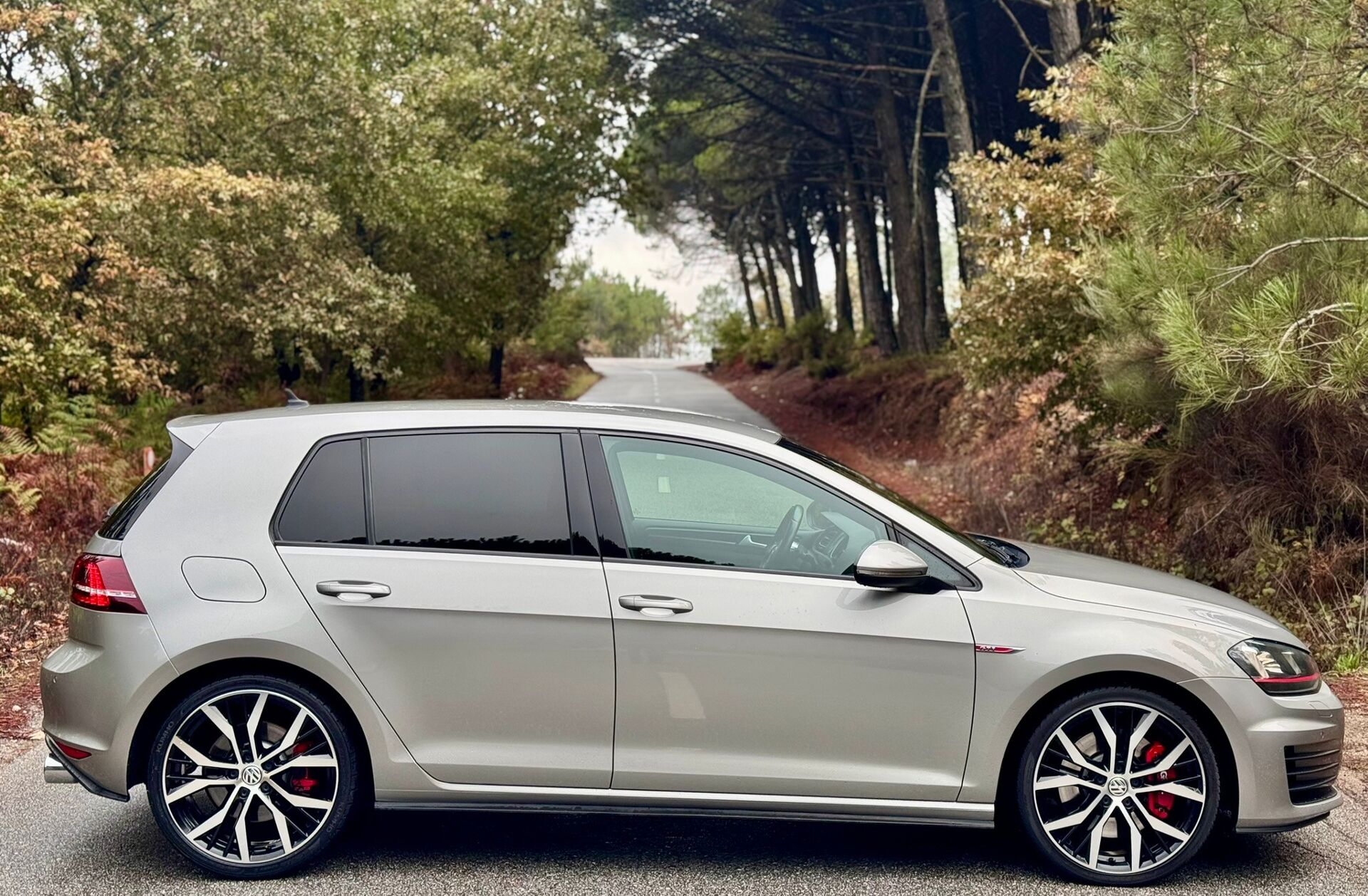 VOLKSWAGEN Golf 2.0 TSi GTi DSG Performance