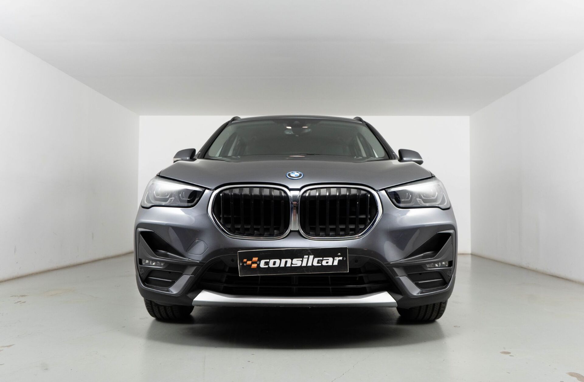 BMW X1 25 e xDrive Corporate Edition