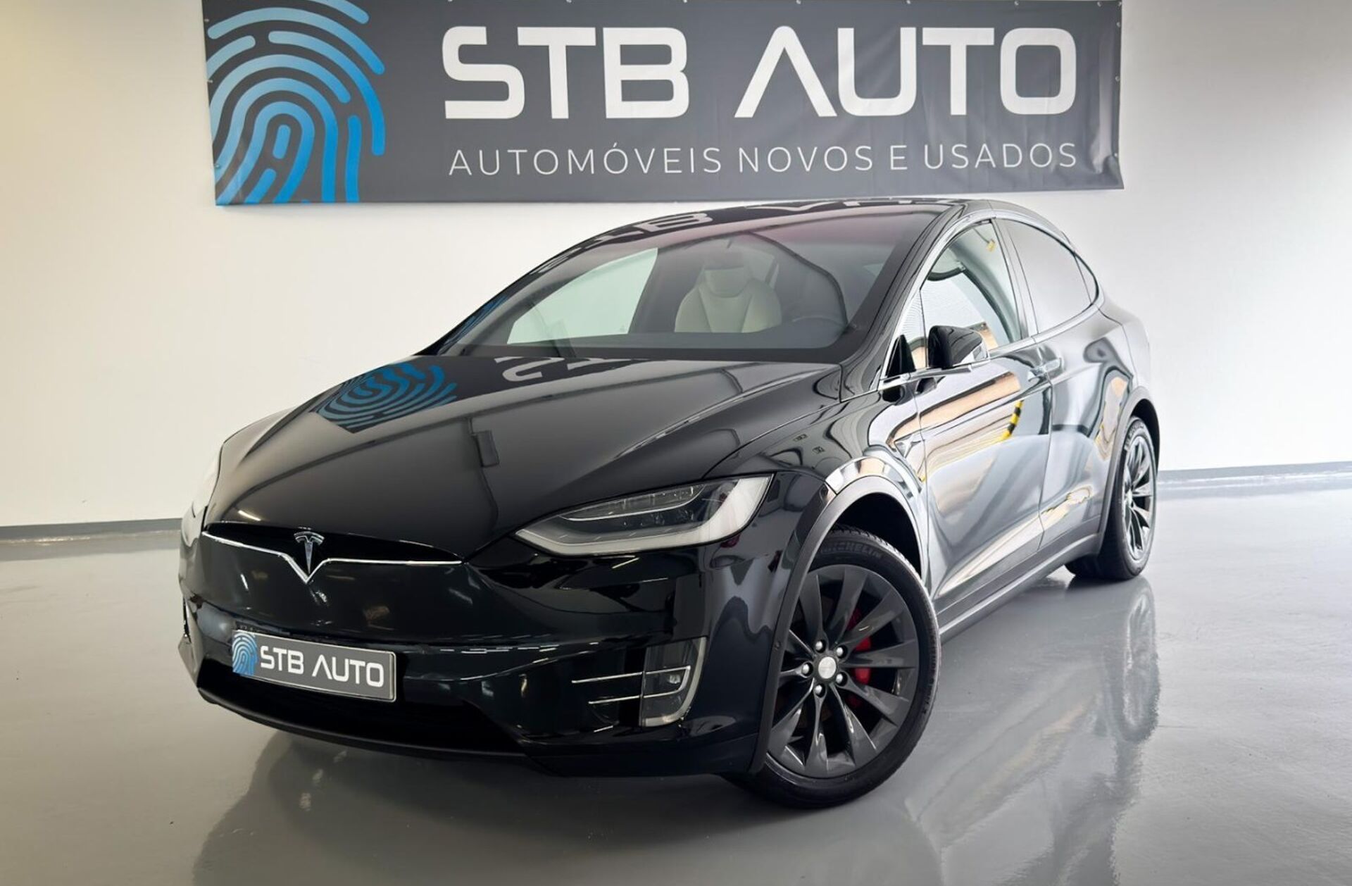 TESLA Model X 100 kWh Long Range AWD