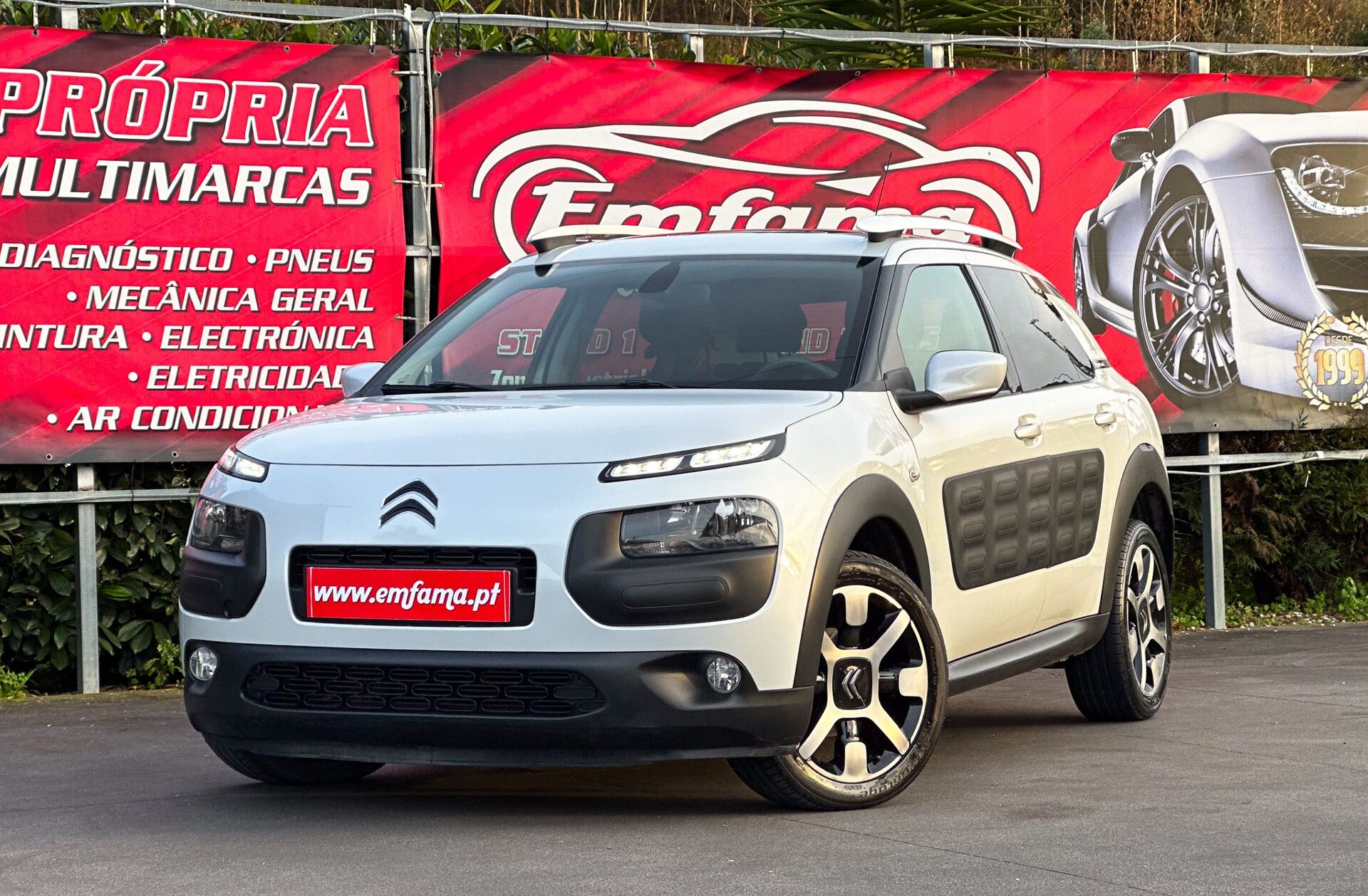 CITROEN C4 Cactus 1.6 BlueHDi Rip Curl