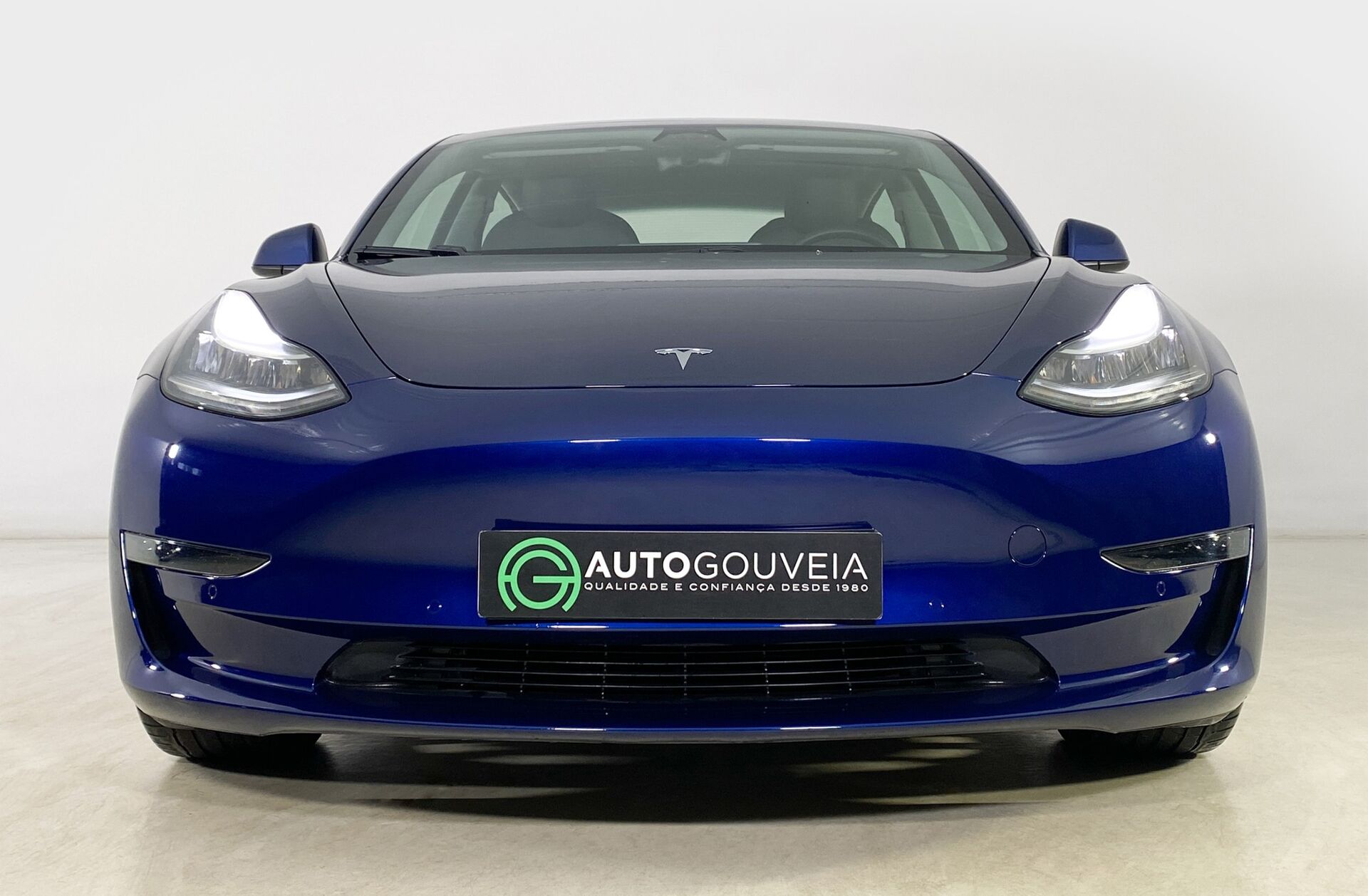 TESLA Model 3 Long-Range Dual Motor AWD