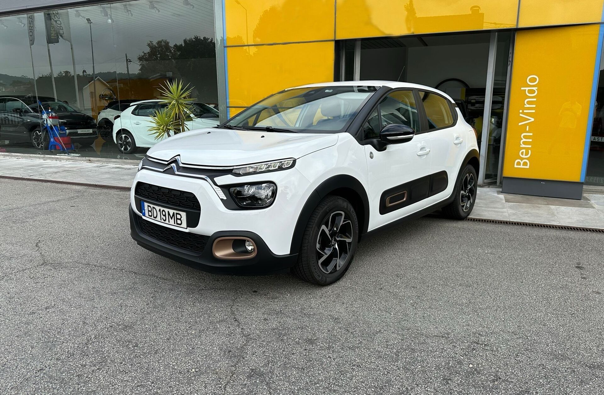 CITROEN C3 1.5 BlueHDi C-Series