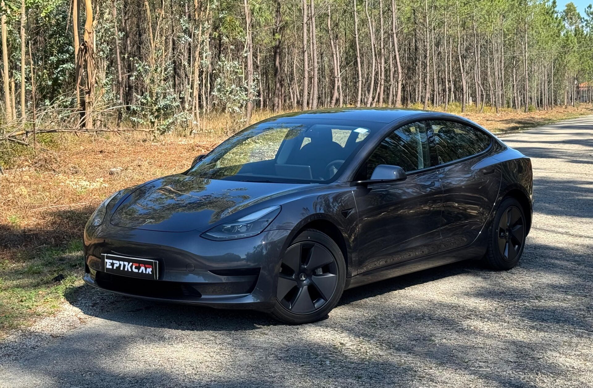 TESLA Model 3 Standard Range Plus RWD