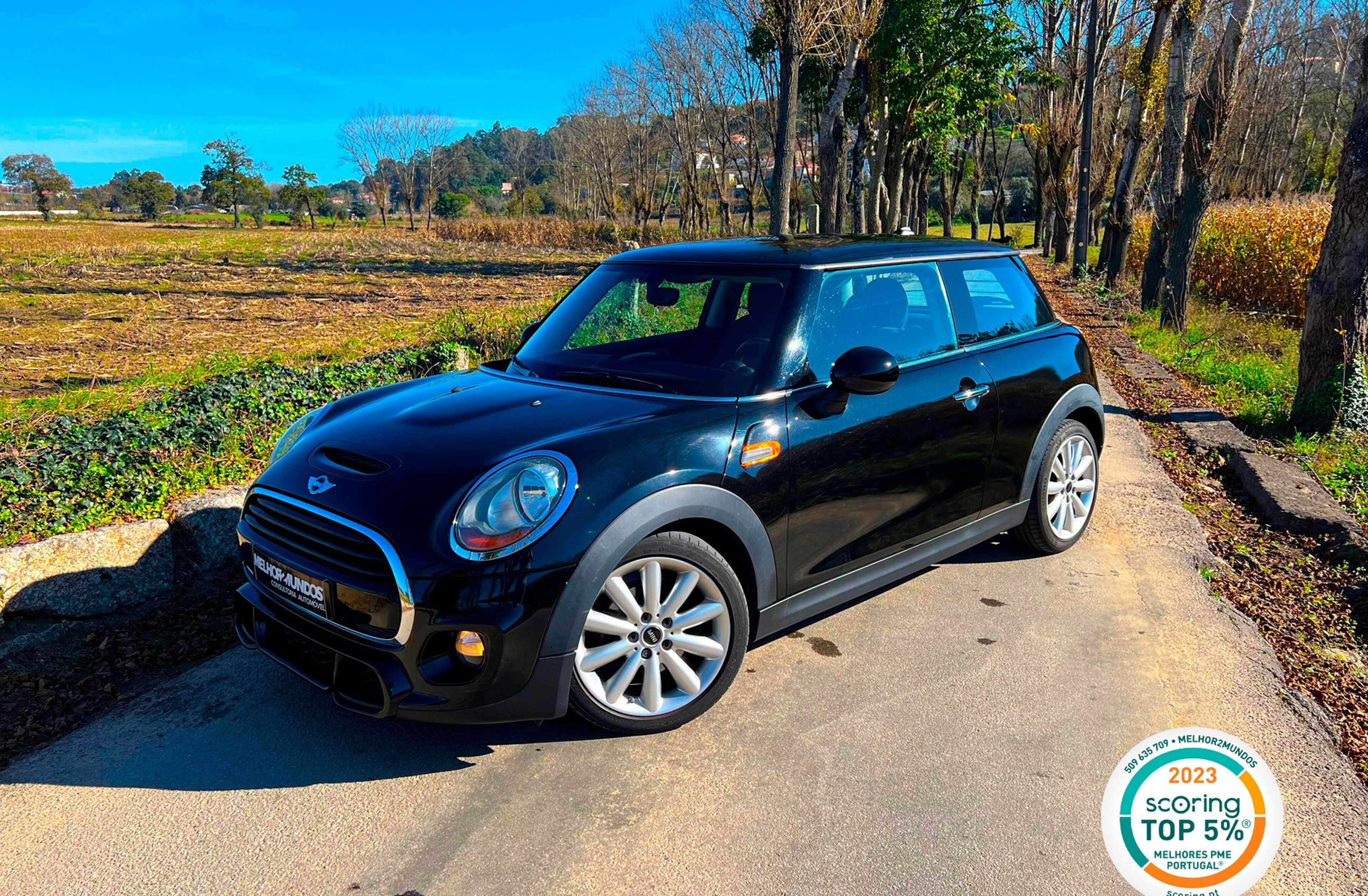 MINI Mini D