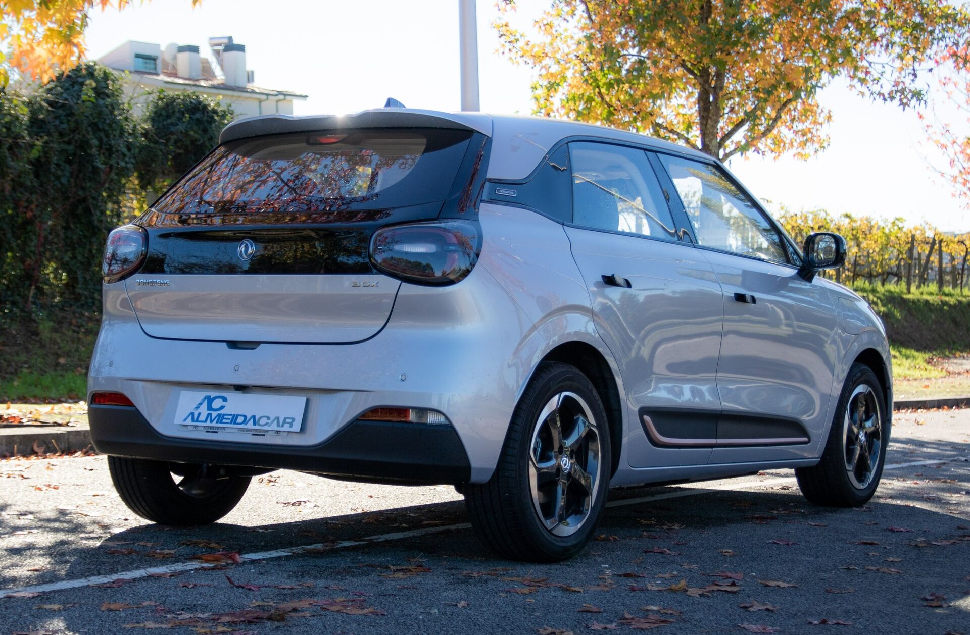 DONGFENG Box 42 kWh Pro