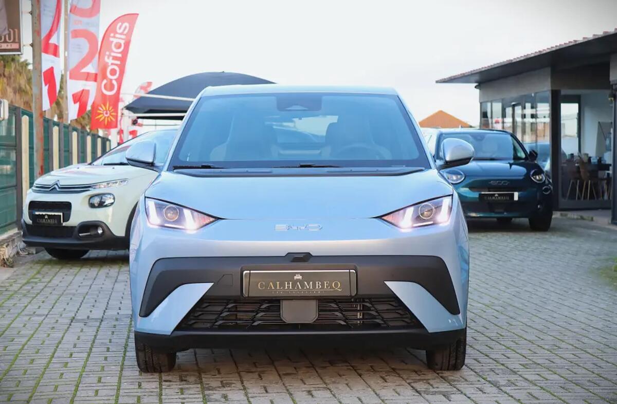 BYD Dolphin 60.4 kWh Design