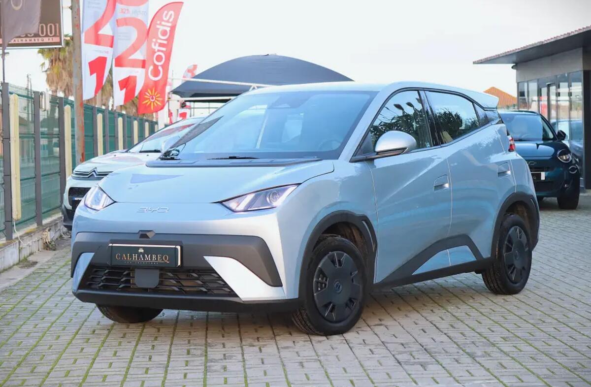 BYD Dolphin 60.4 kWh Design