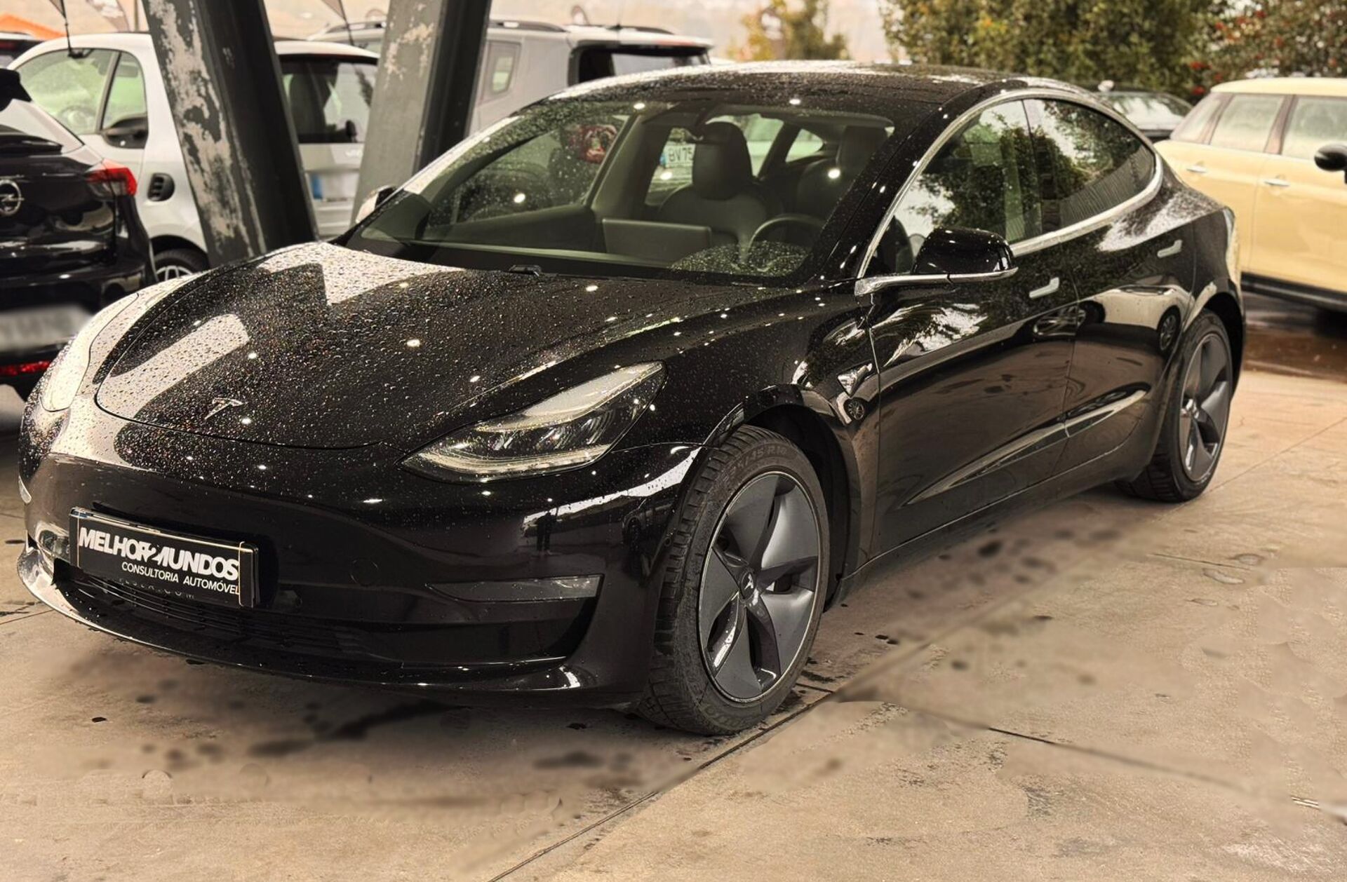 TESLA Model 3 Long-Range Dual Motor AWD