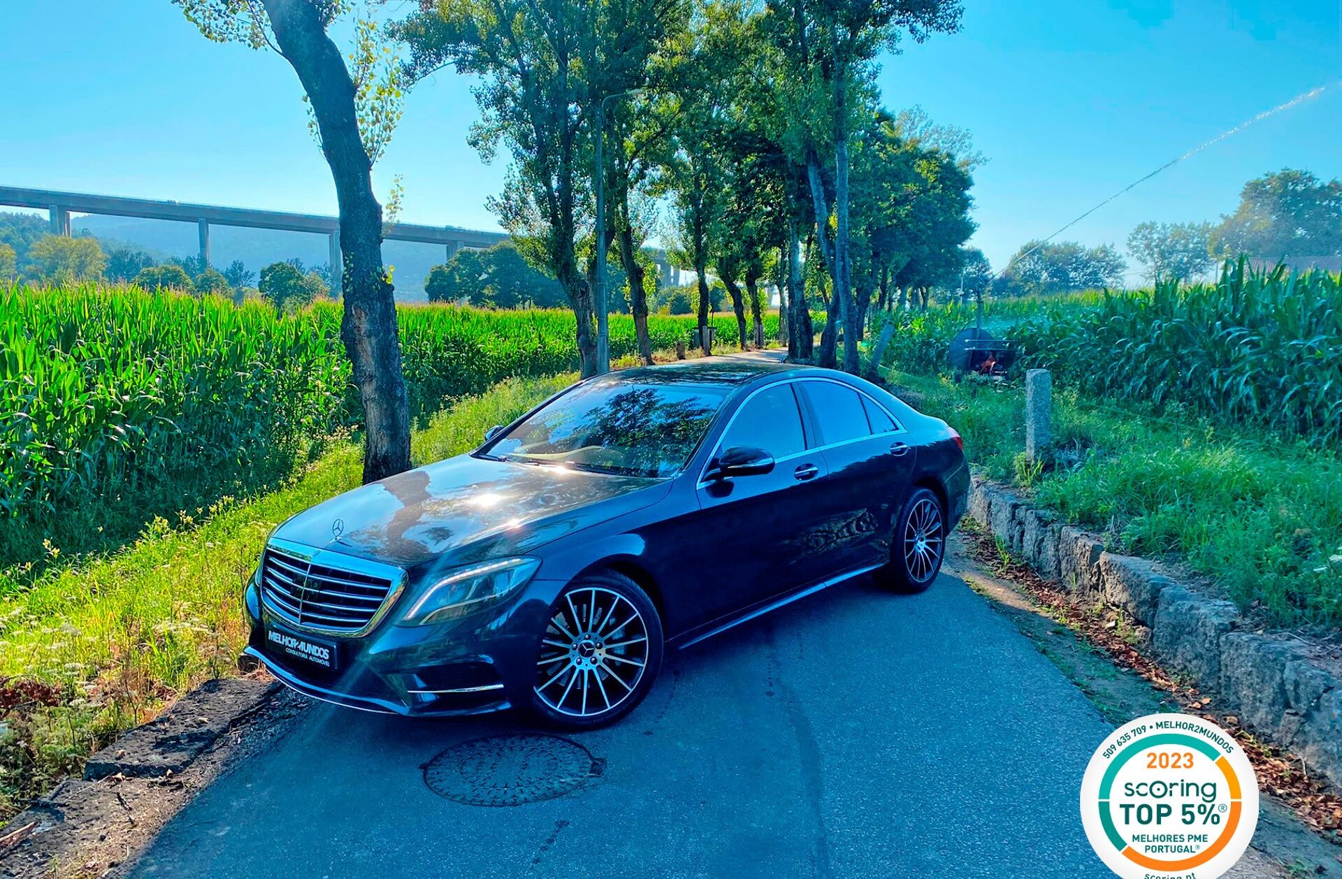 MERCEDES Classe S S 350 BlueTEC