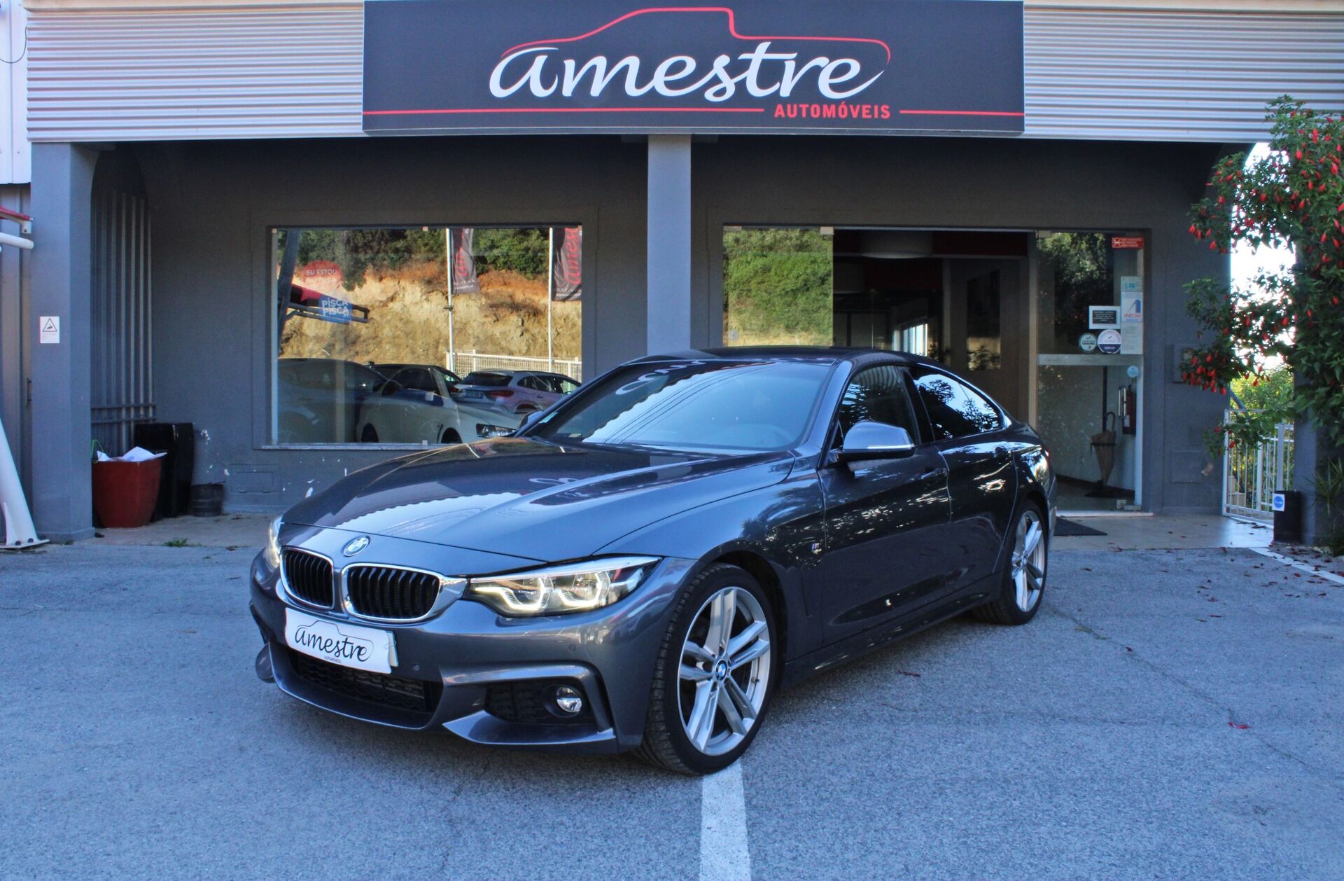 BMW Serie-4 420 d Advantage Auto