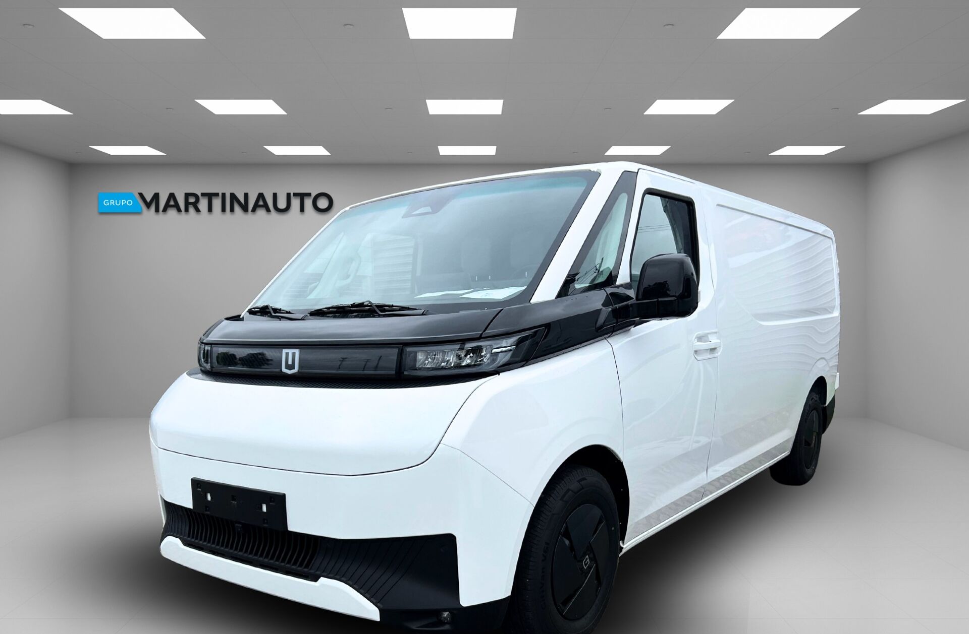 FARIZON SuperVAN 49 kWh L2H1