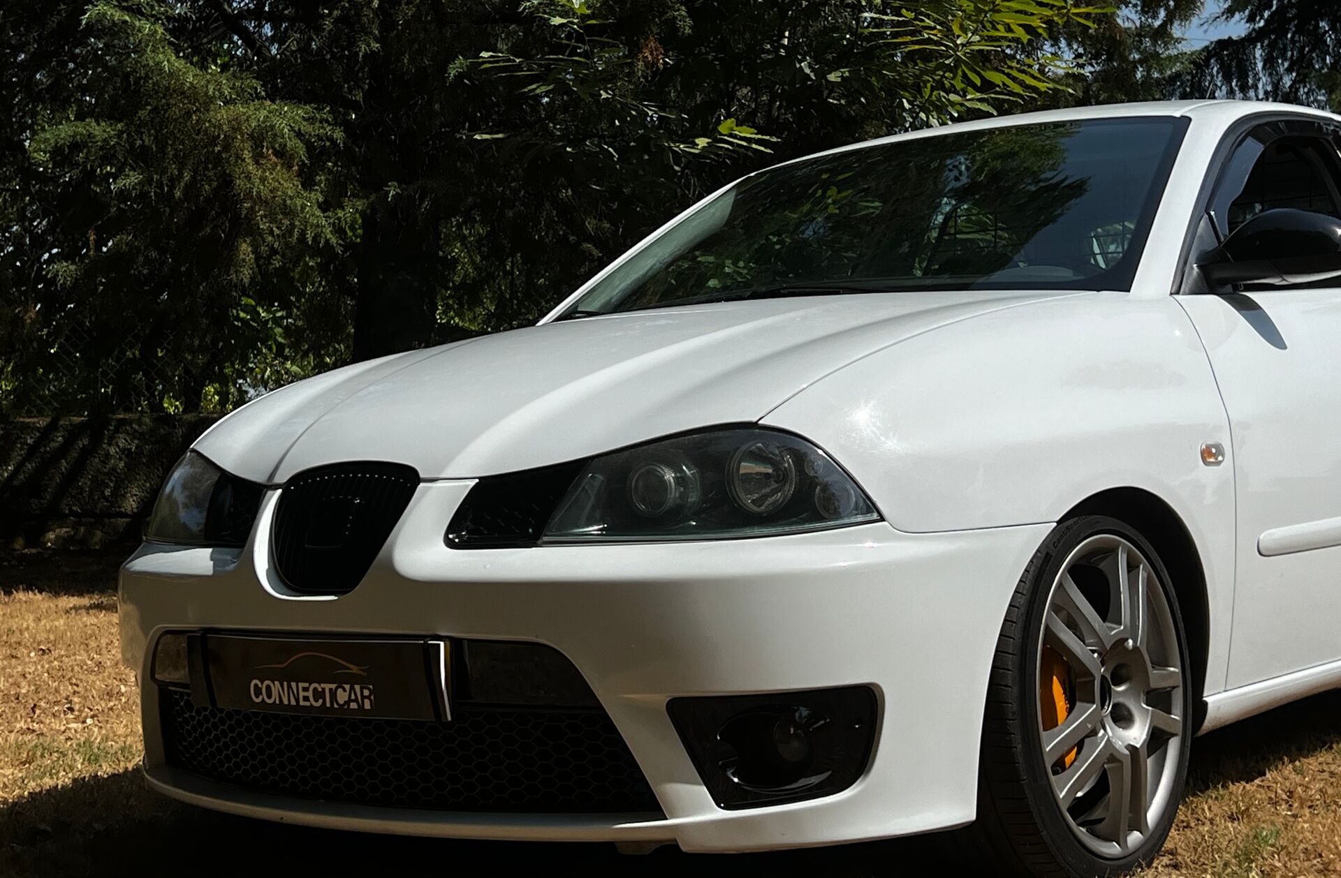 SEAT Ibiza 1.9 TDi FR