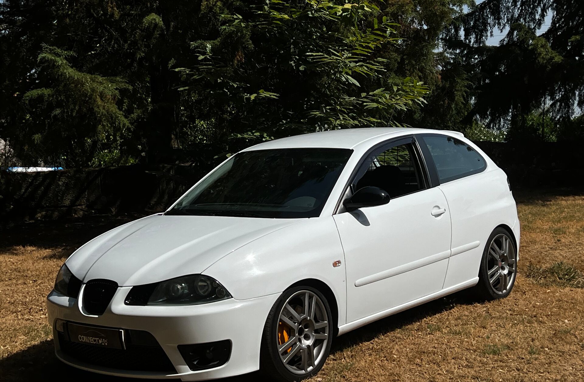 SEAT Ibiza 1.9 TDi FR