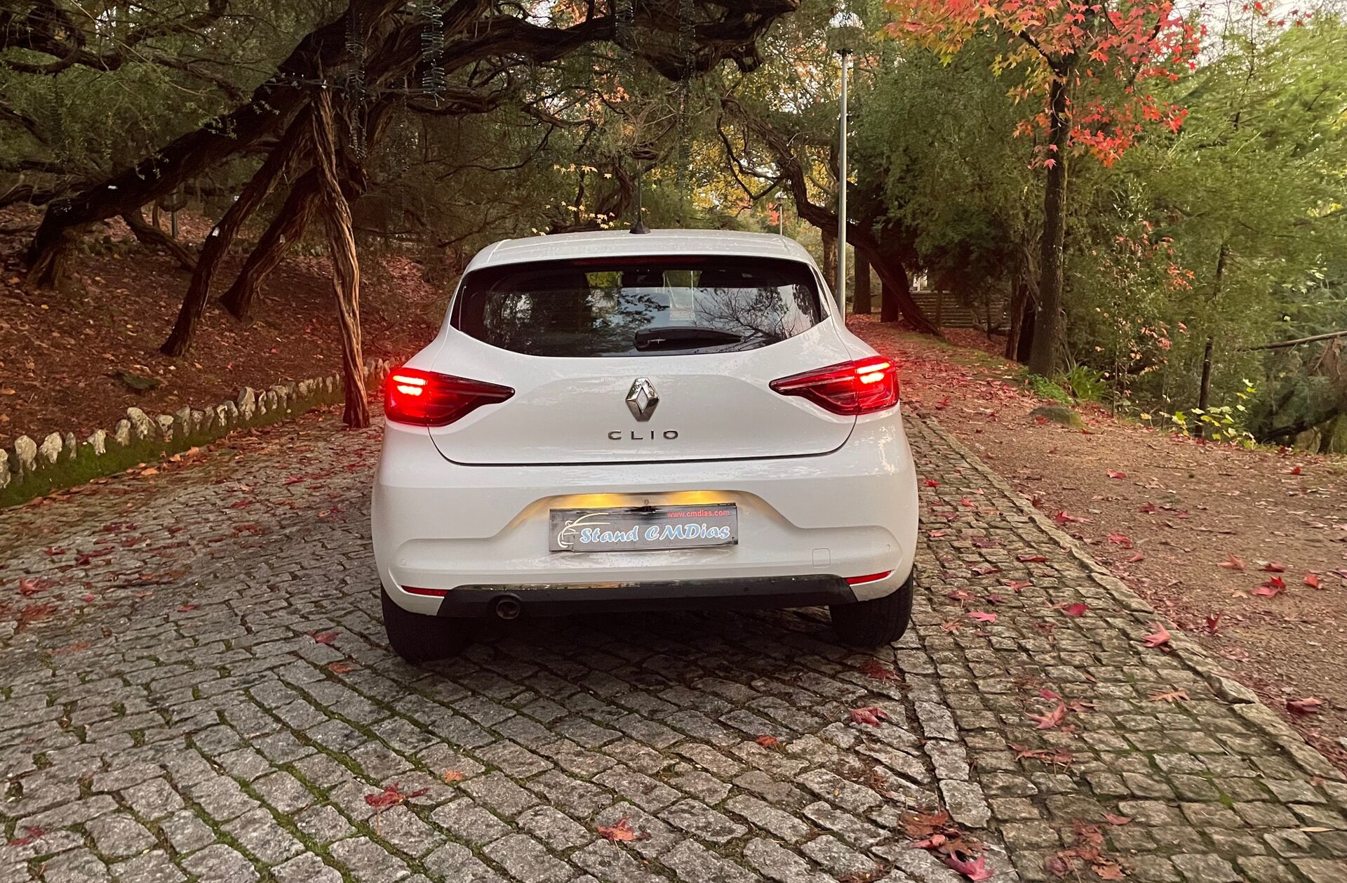RENAULT Clio 1.5 Blue dCi Zen