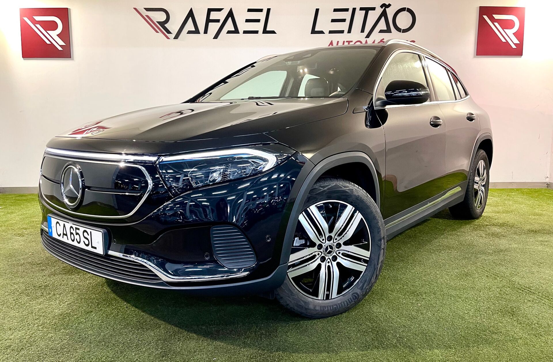 MERCEDES EQA 250+ Electric Art