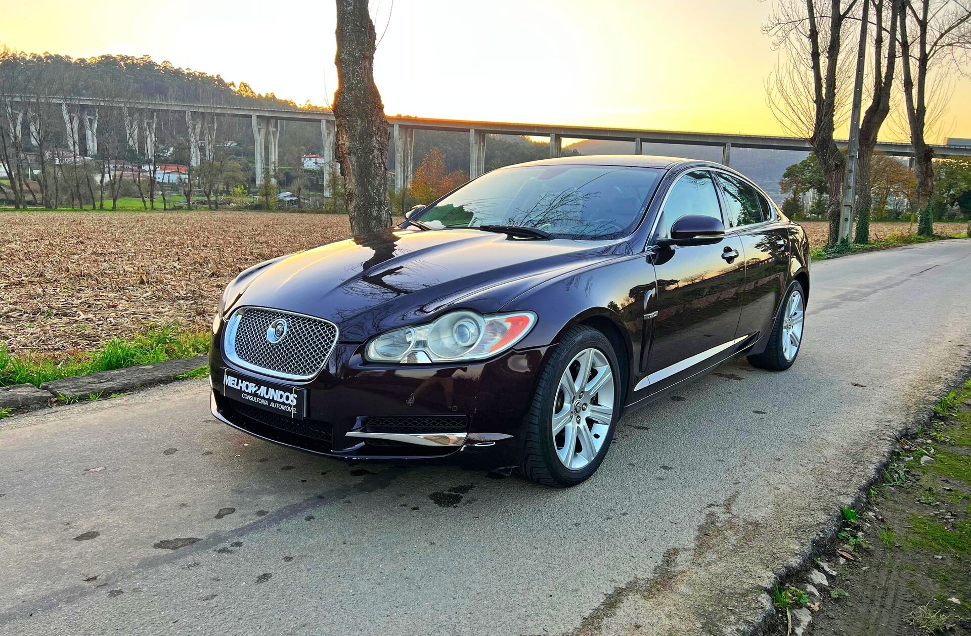 JAGUAR XF 3.0 D V6 Luxury