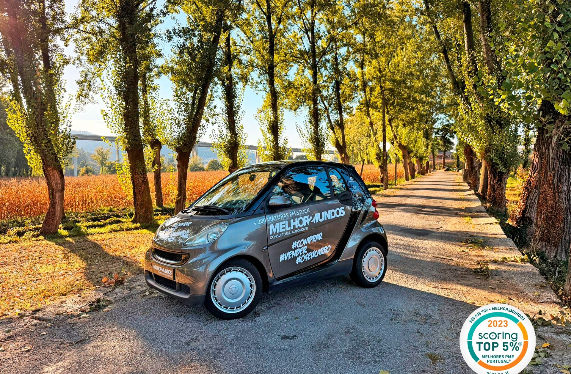 SMART Fortwo 1.0 mhd Pure 61