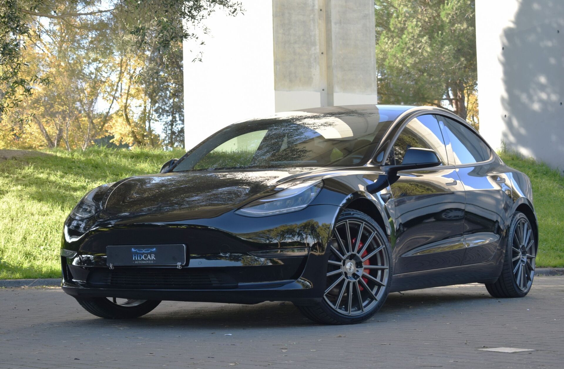 TESLA Model 3 Long-Range Dual Motor AWD