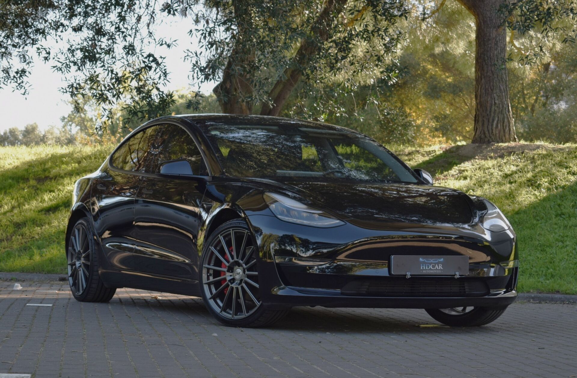 TESLA Model 3 Long-Range Dual Motor AWD