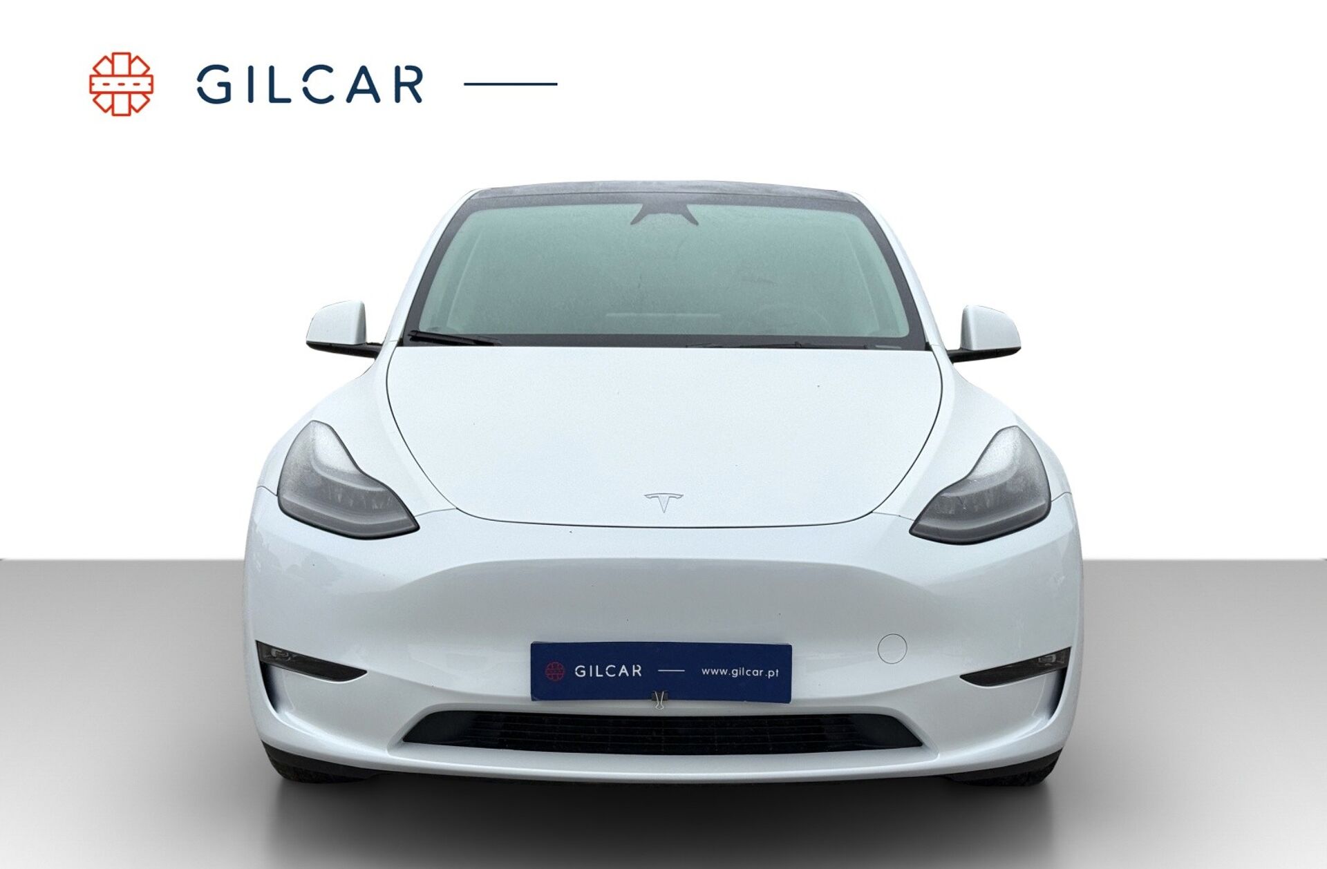 TESLA Model Y Long Range Tração Integral