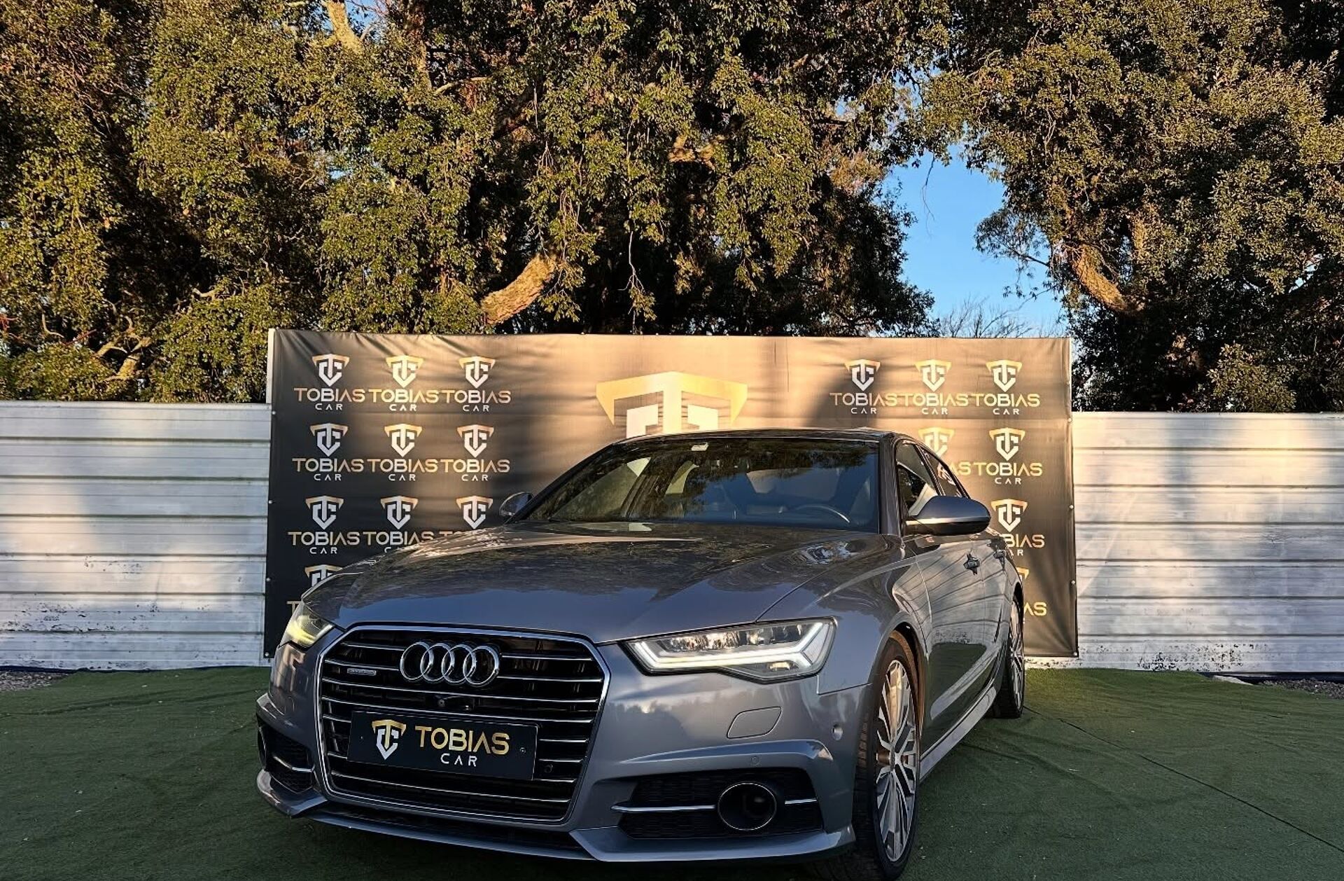 AUDI A6 3.0 TDi V6 quattro Business Line S tronic Clean Diesel