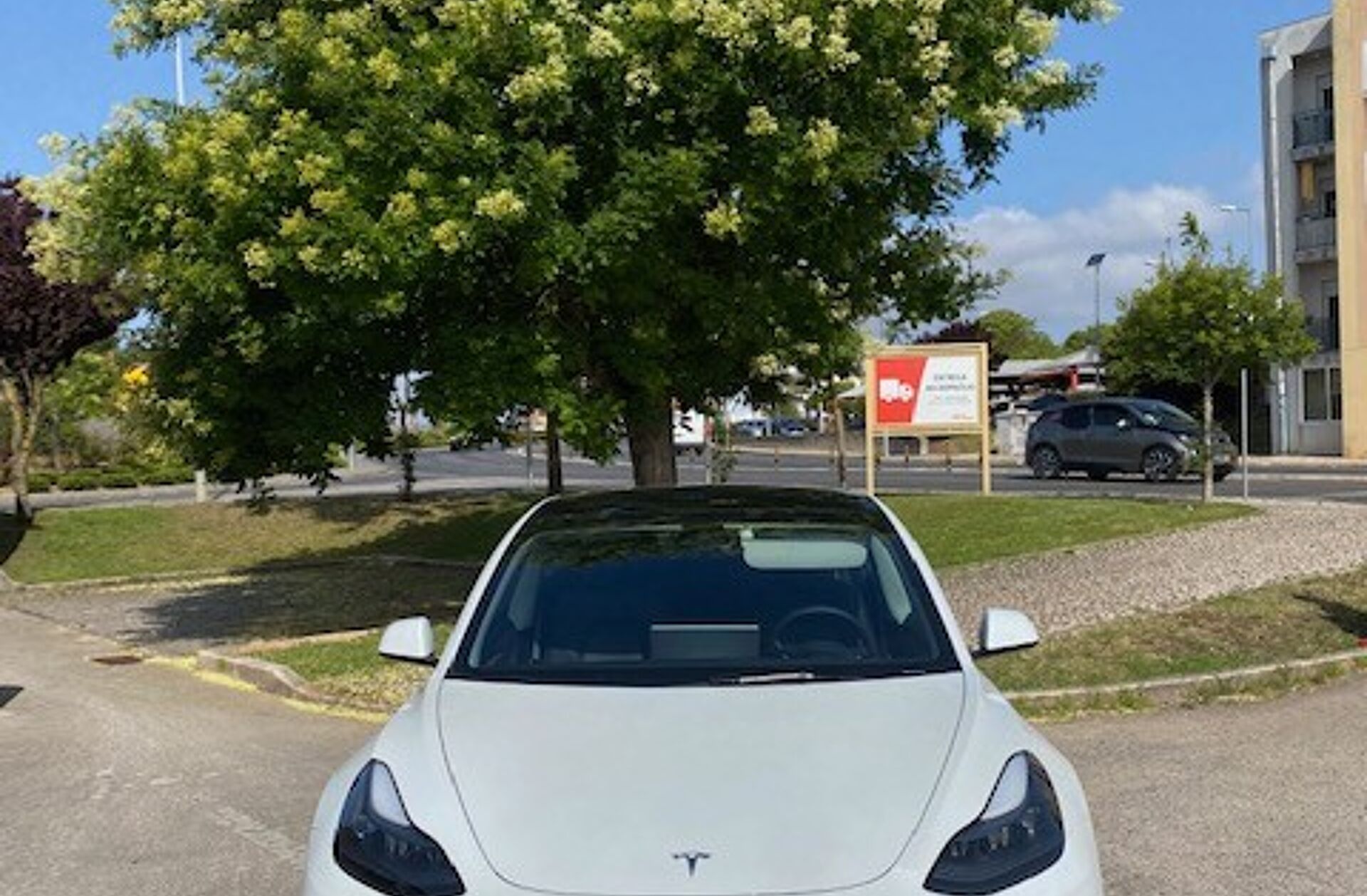 TESLA Model 3 Standard Range Plus RWD