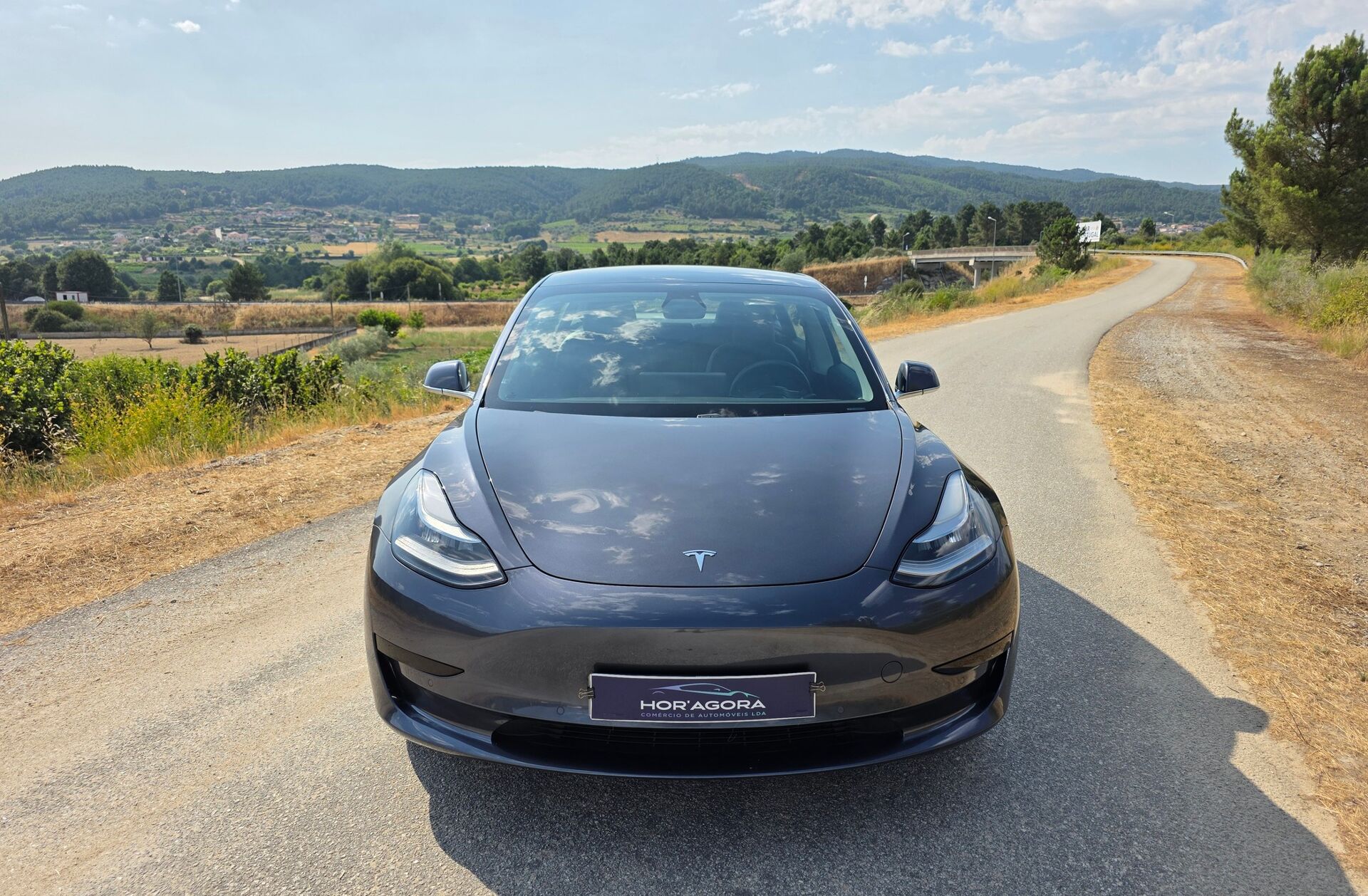 TESLA Model 3 Standard RWD Plus