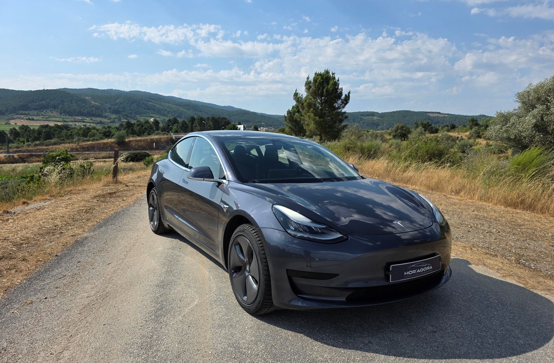 TESLA Model 3 Standard RWD Plus