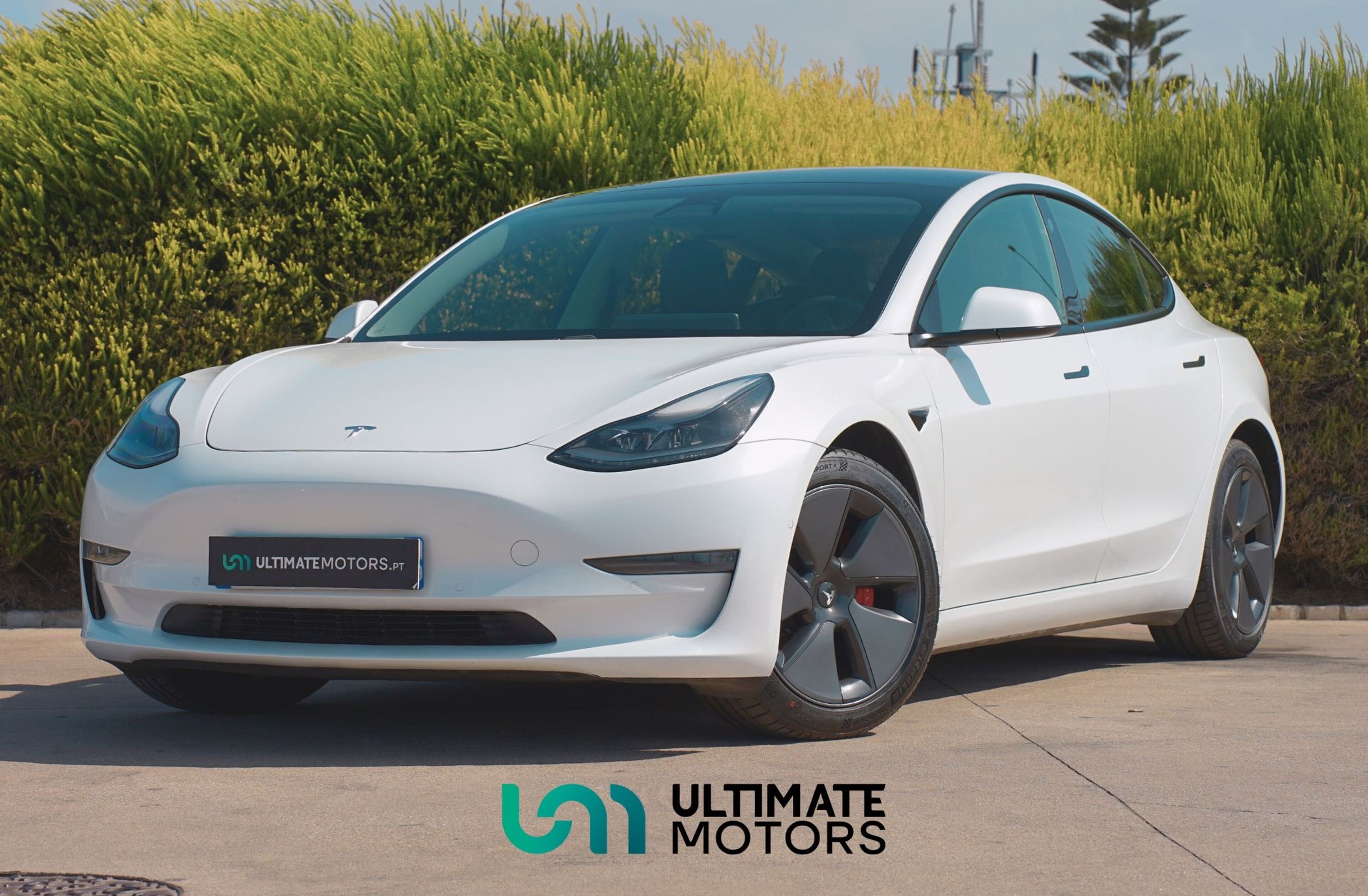 TESLA Model 3 Long-Range Dual Motor AWD