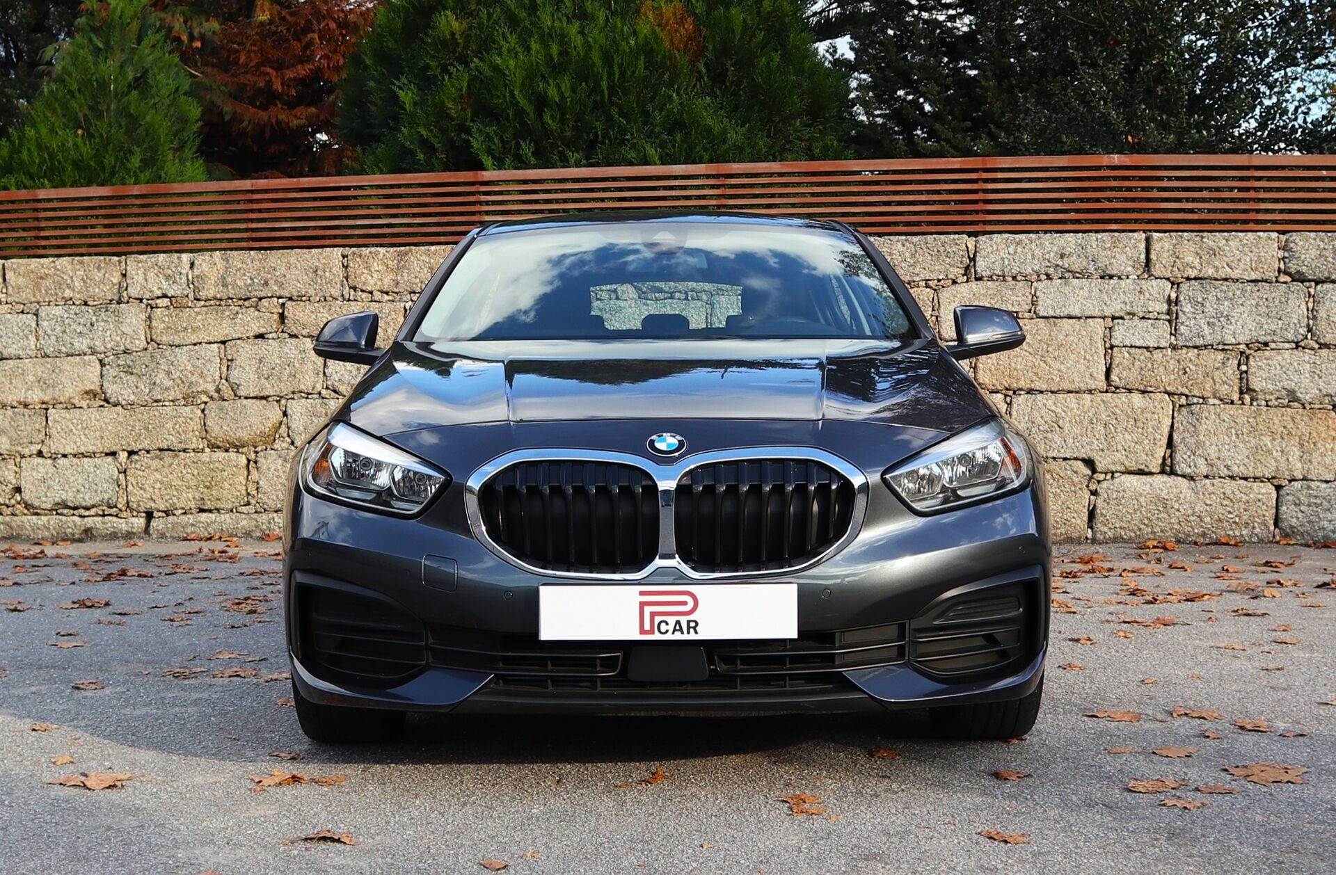 BMW Serie-1 116 d Line Sport Auto