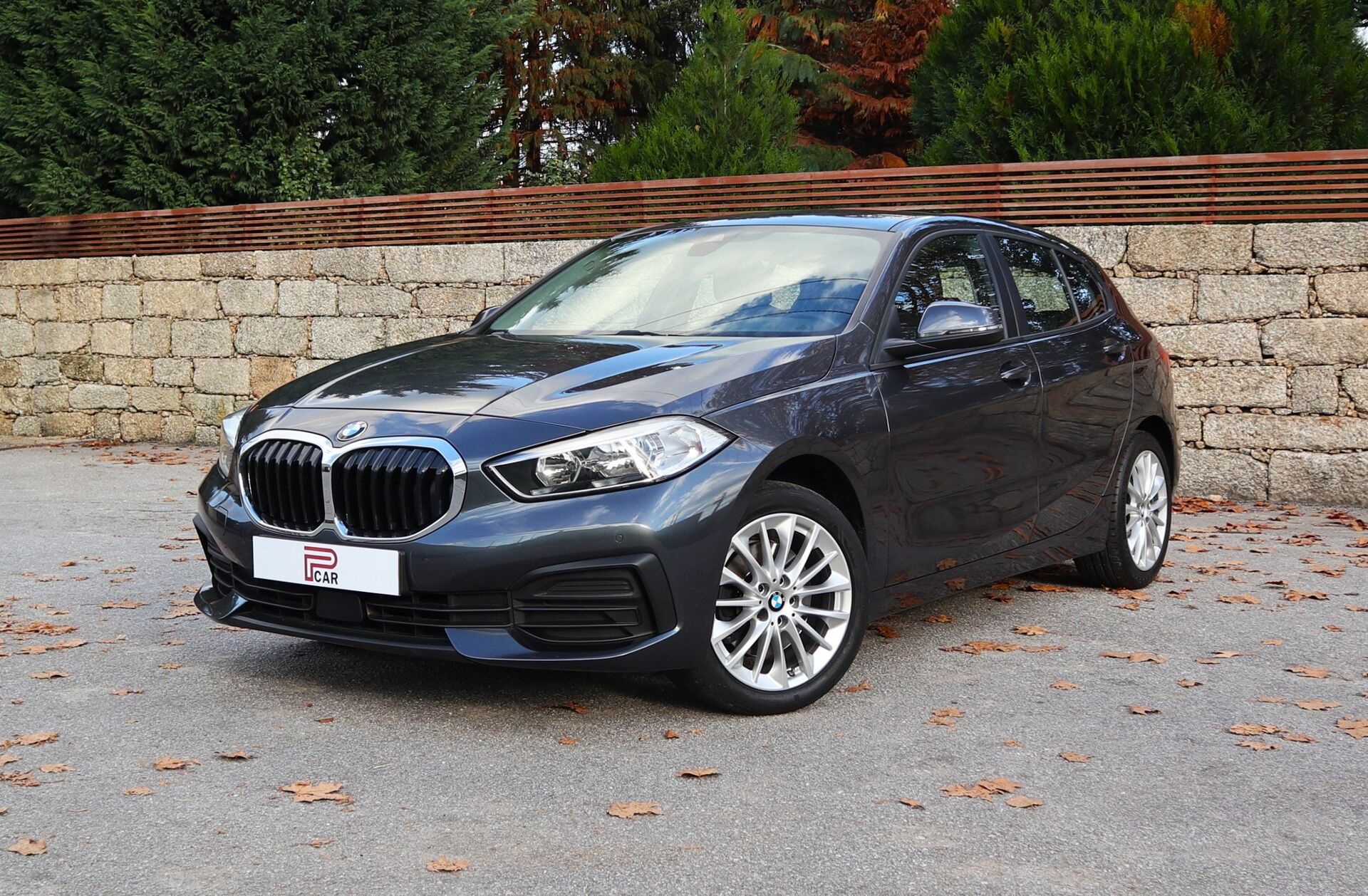 BMW Serie-1 116 d Line Sport Auto