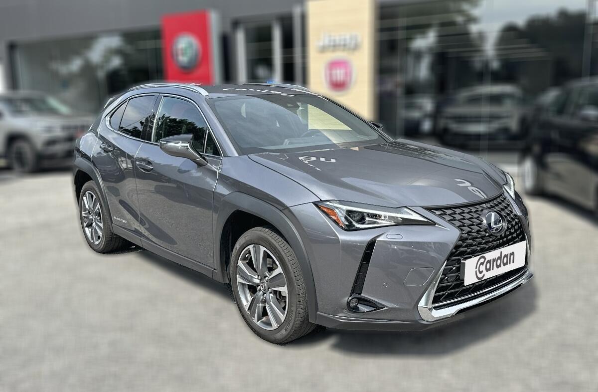 LEXUS UX 300e Luxury